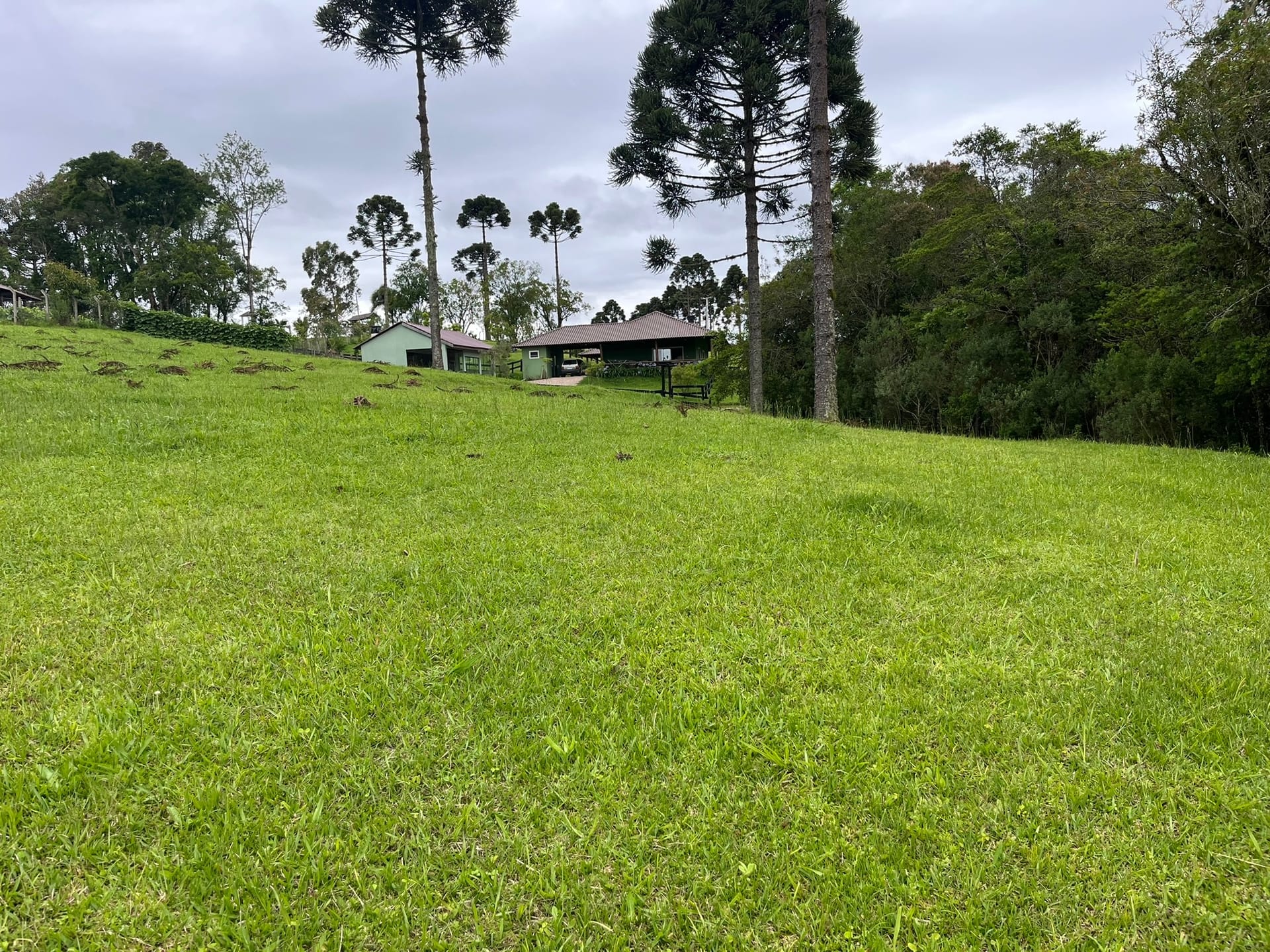 Chácara, 3 quartos, 2 hectares - Foto 9