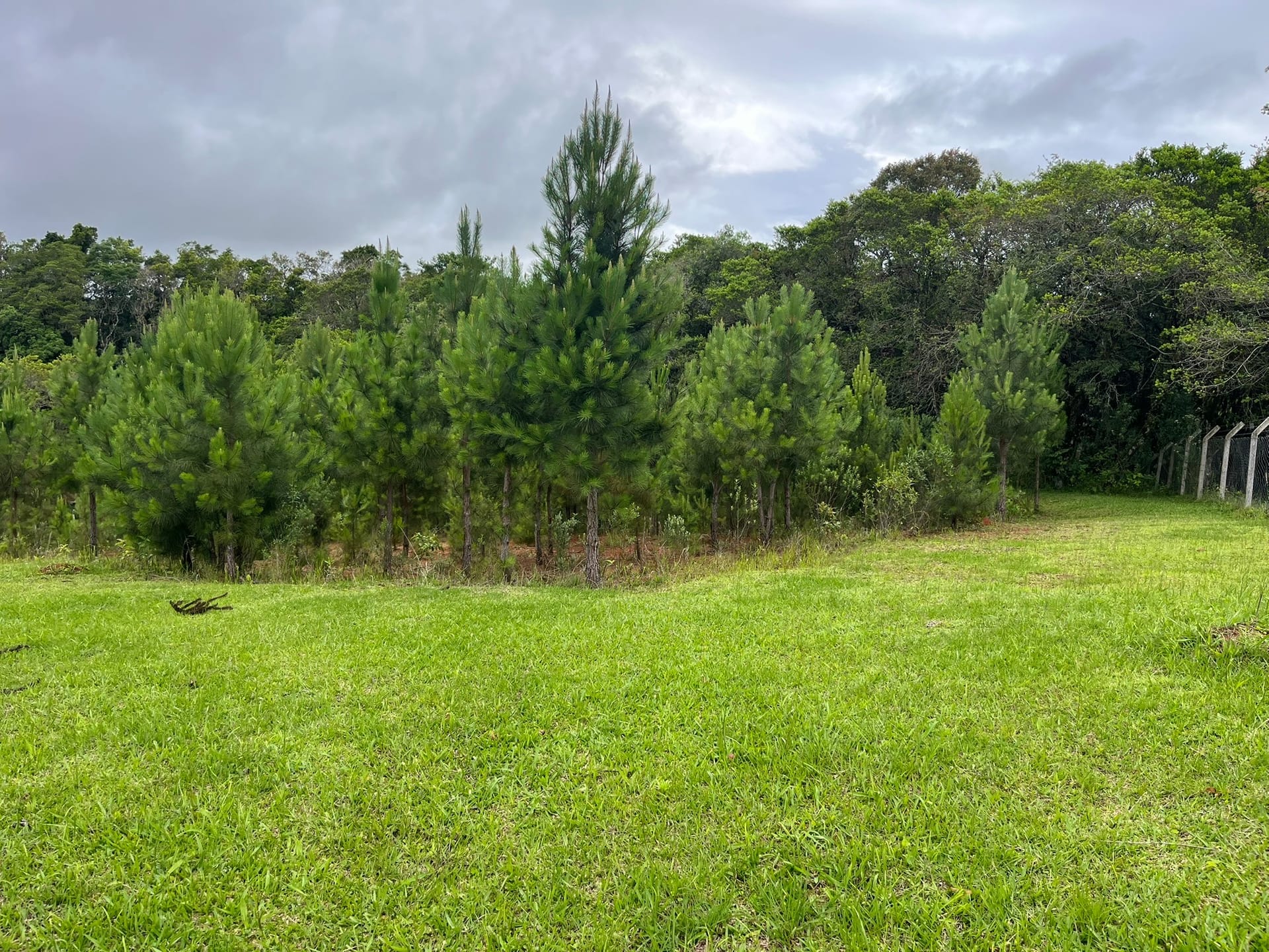 Chácara, 3 quartos, 2 hectares - Foto 10