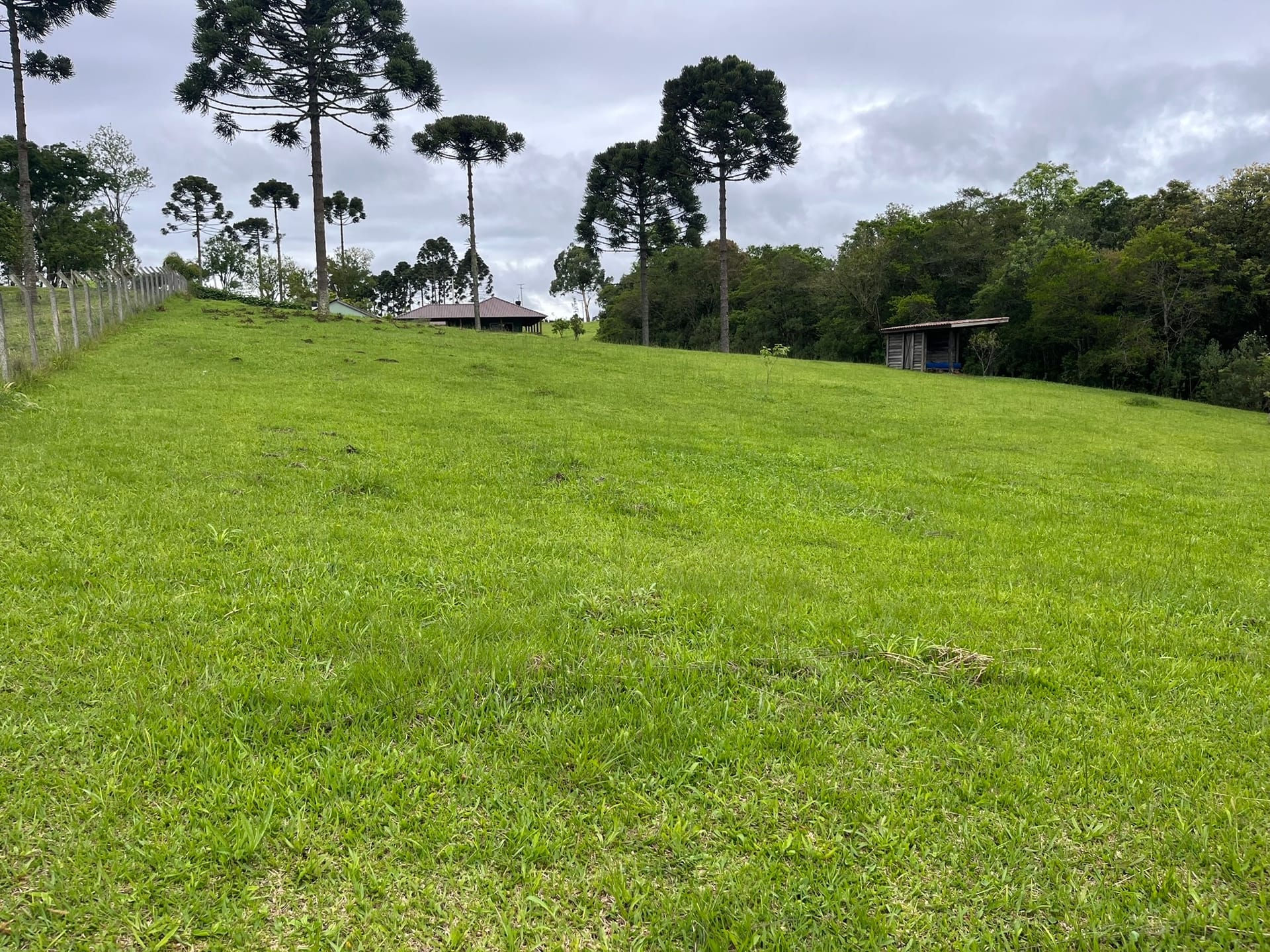 Chácara, 3 quartos, 2 hectares - Foto 11