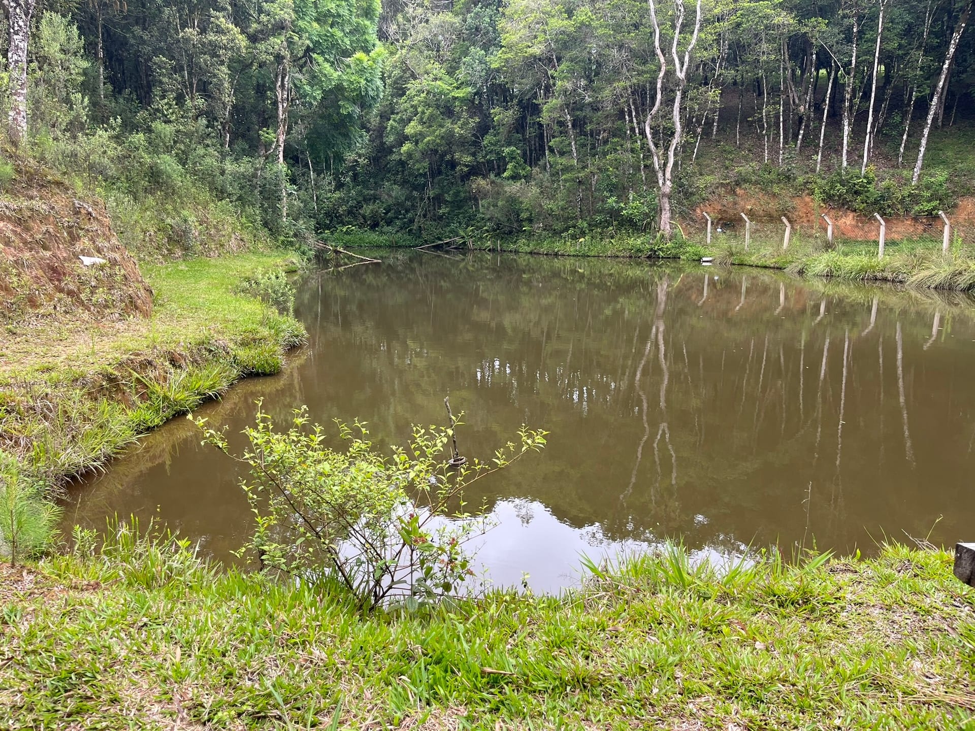 Chácara, 3 quartos, 2 hectares - Foto 5