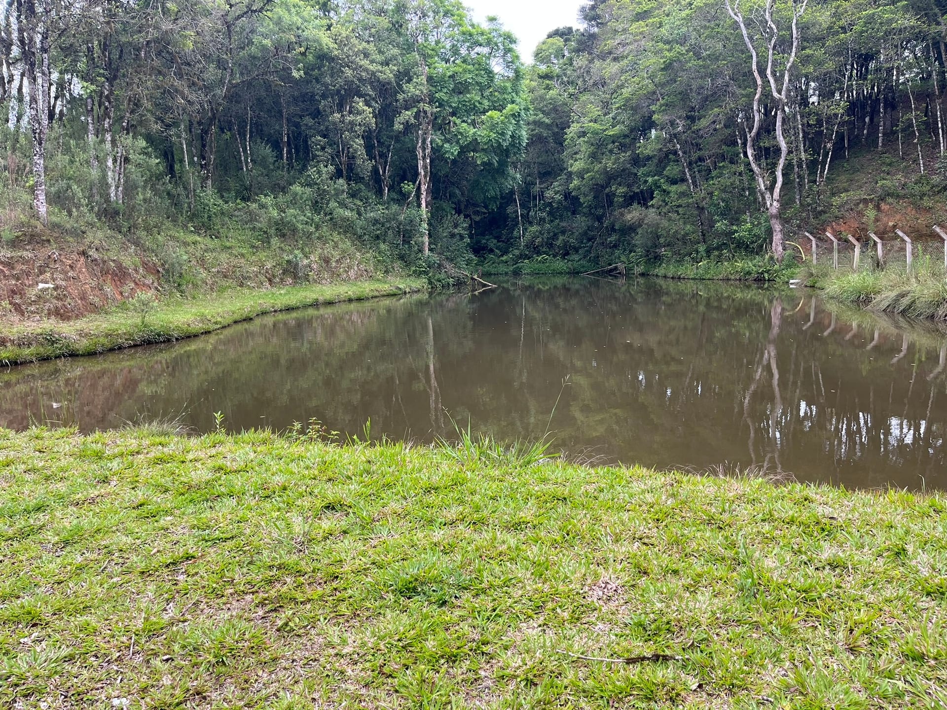 Chácara, 3 quartos, 2 hectares - Foto 16