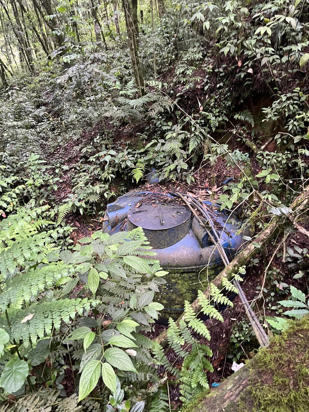 Chácara, 3 quartos, 2 hectares - Foto 21