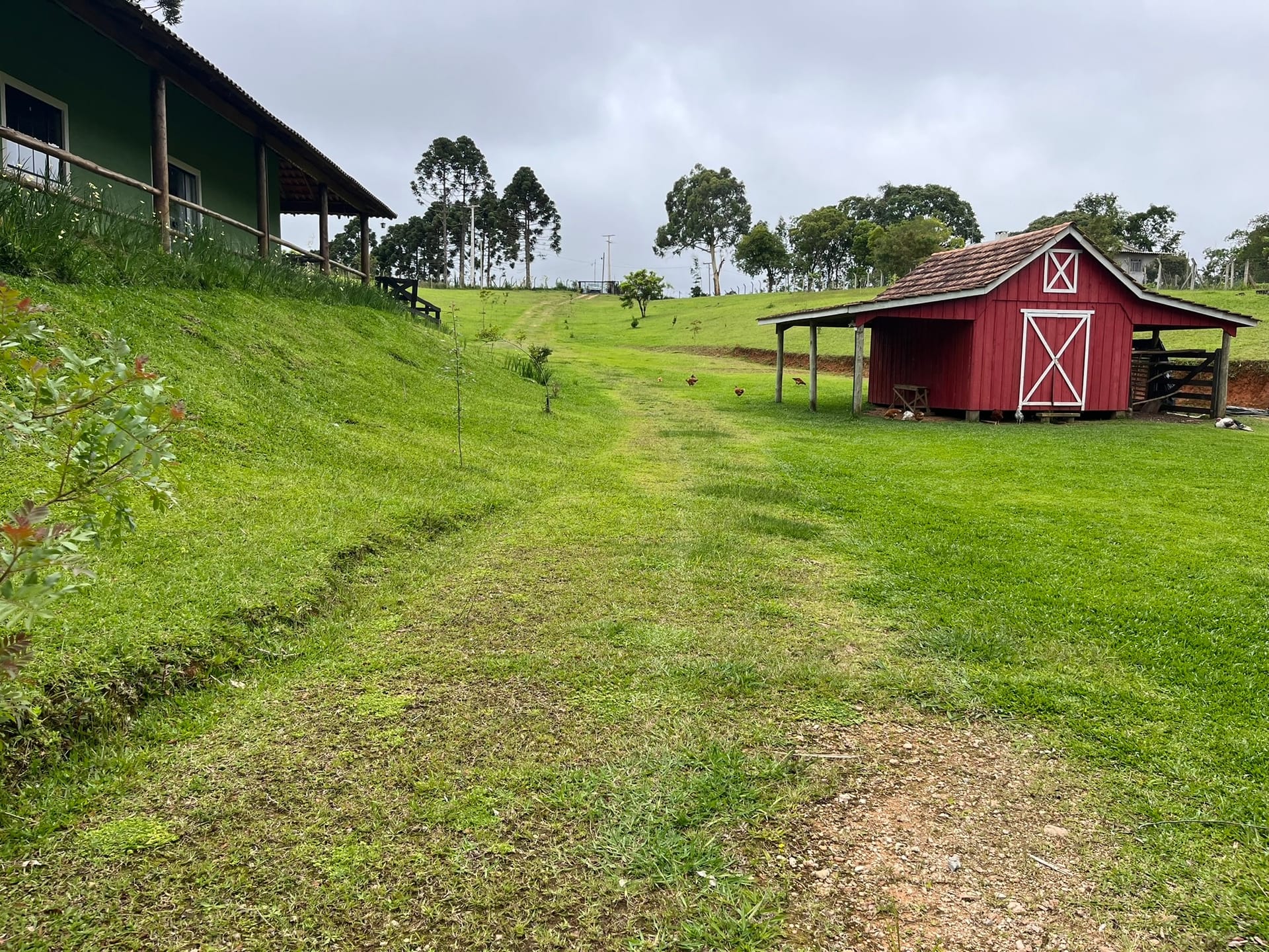 Chácara, 3 quartos, 2 hectares - Foto 25