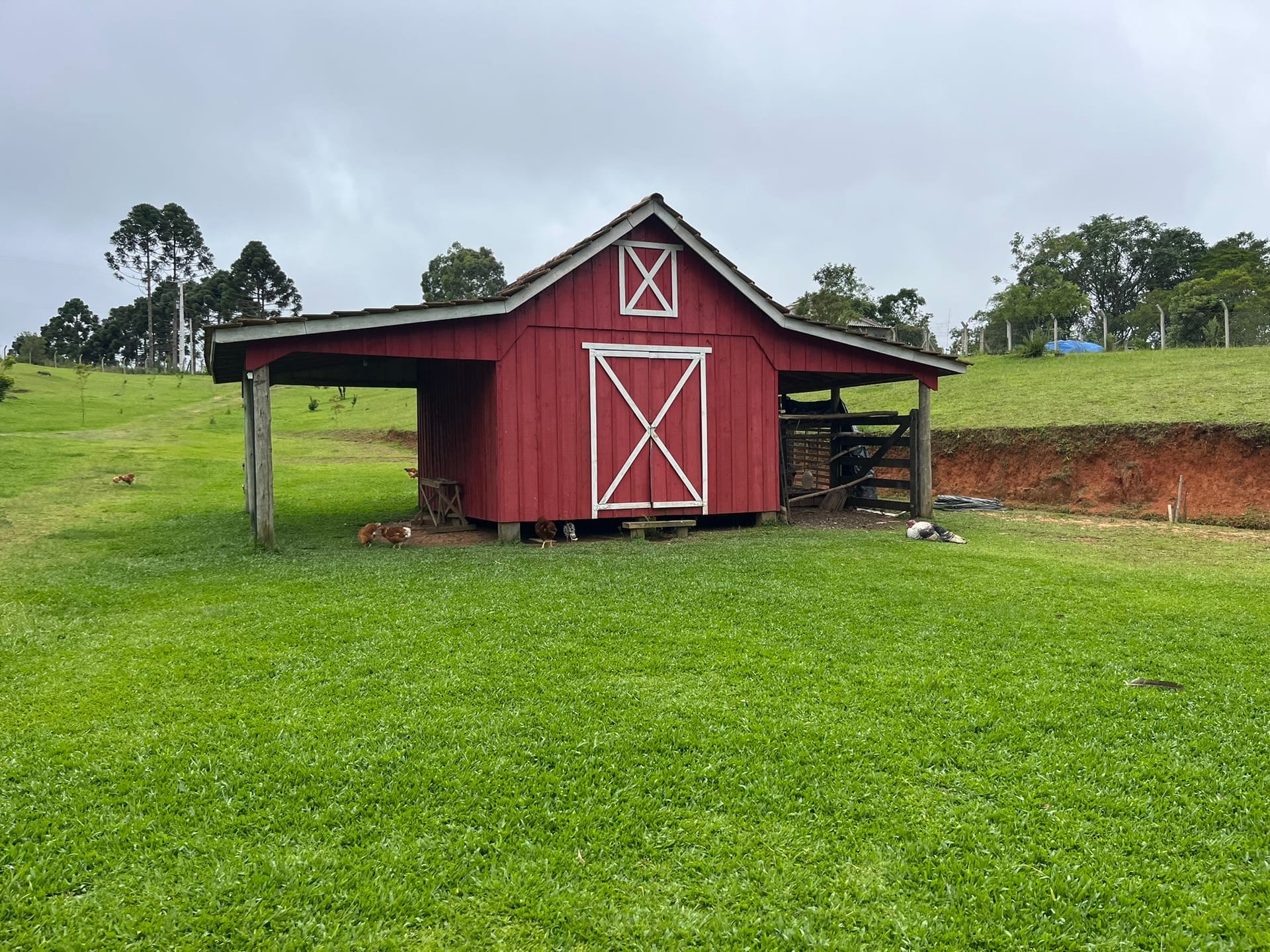 Chácara, 3 quartos, 2 hectares - Foto 26