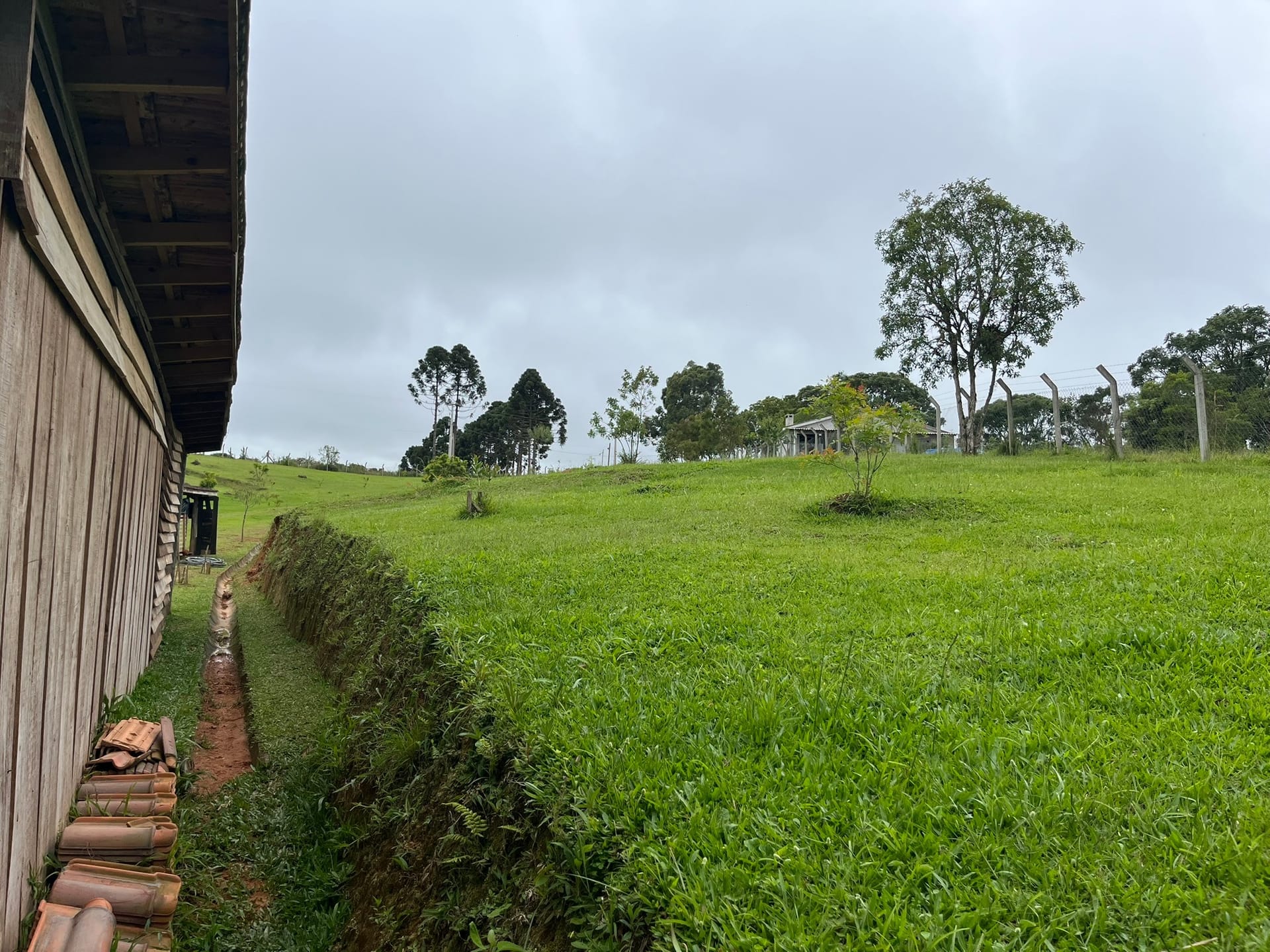 Chácara, 3 quartos, 2 hectares - Foto 29