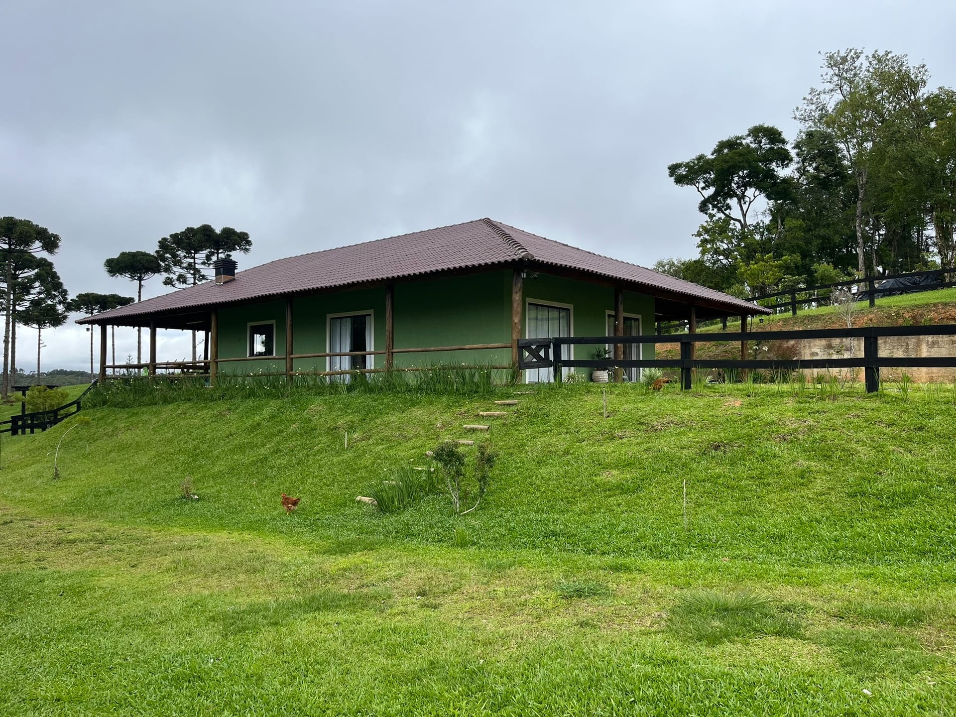 Chácara, 3 quartos, 2 hectares - Foto 32