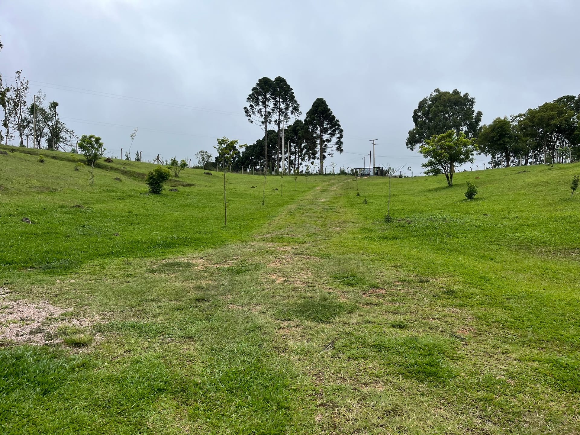 Chácara, 3 quartos, 2 hectares - Foto 33