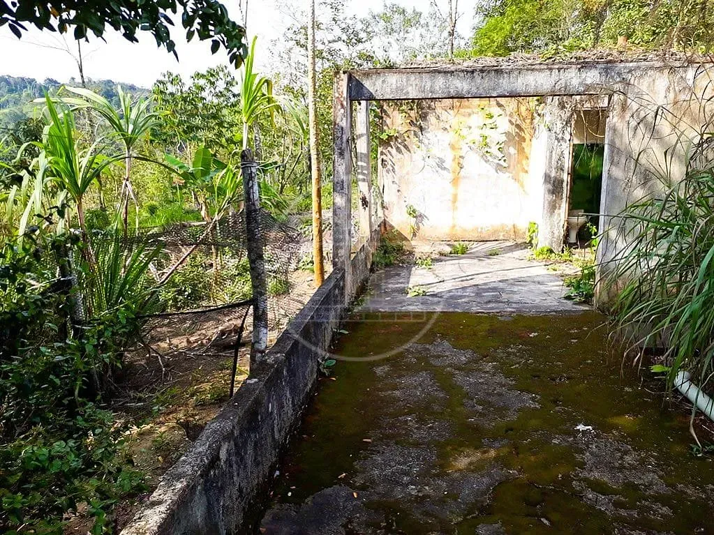 Sítio, 2 quartos, 3 hectares - Foto 21