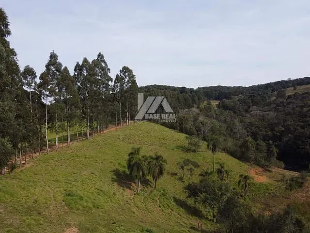 Chácara com 48400m² 2 quartos e 1 banheiro, à venda, no bairro Itaiacoca em Ponta Grossa
