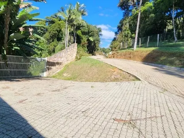 Chácara 3 quartos e 2 banheiros, à venda, no bairro Borda Do Campo em São José Dos Pinhais