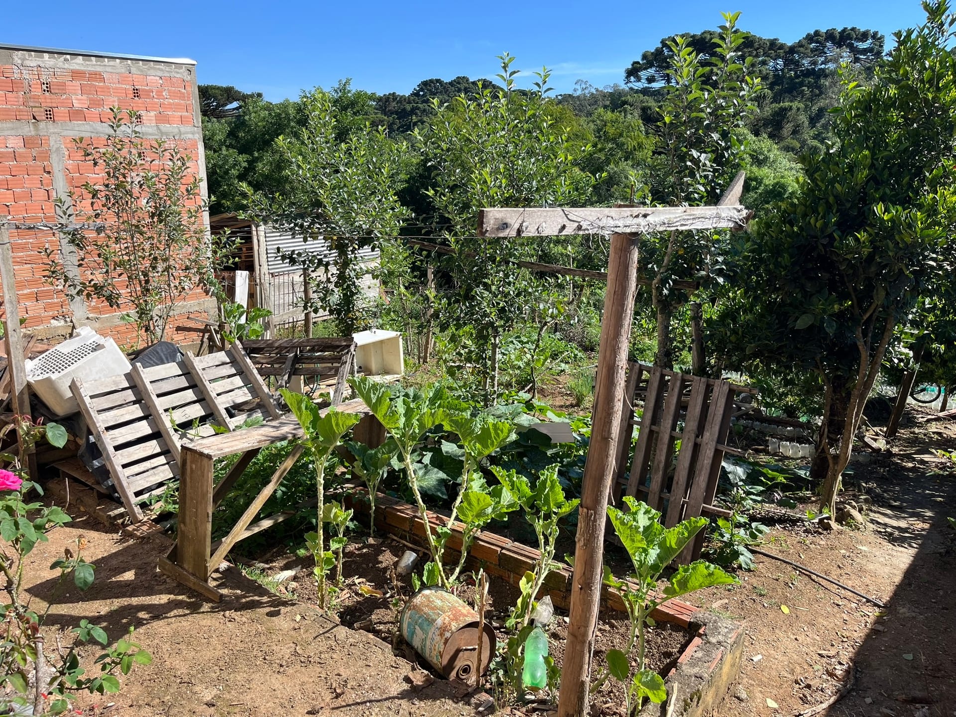 Chácara, 3 quartos, 1450 m² - Foto 19