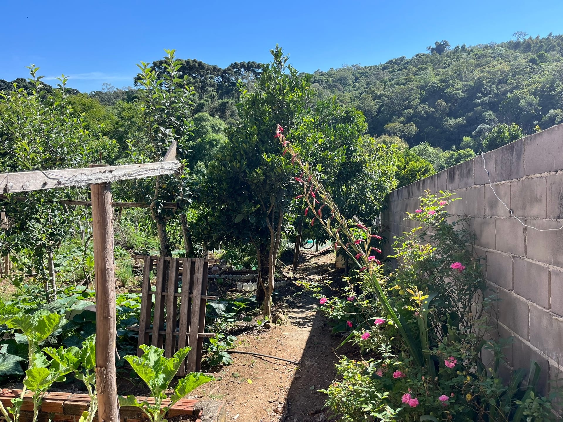 Chácara, 3 quartos, 1450 m² - Foto 20