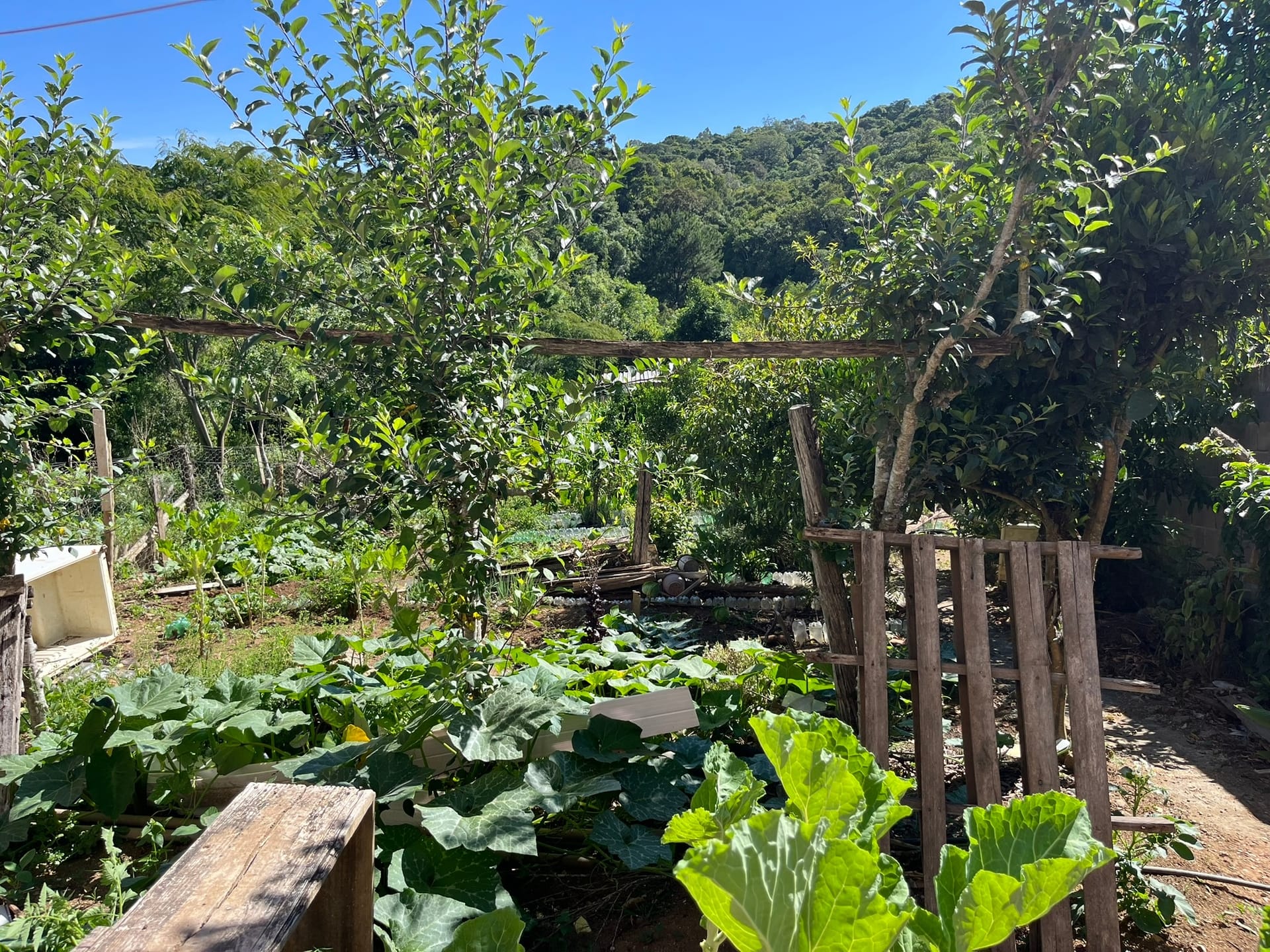 Chácara, 3 quartos, 1450 m² - Foto 21