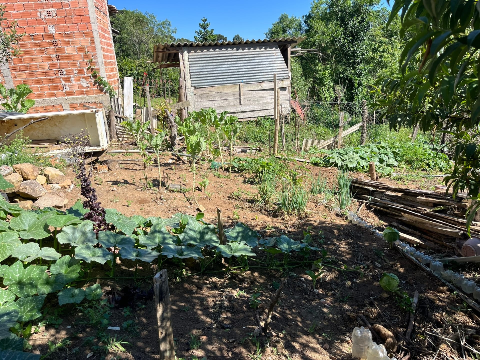 Chácara, 3 quartos, 1450 m² - Foto 6