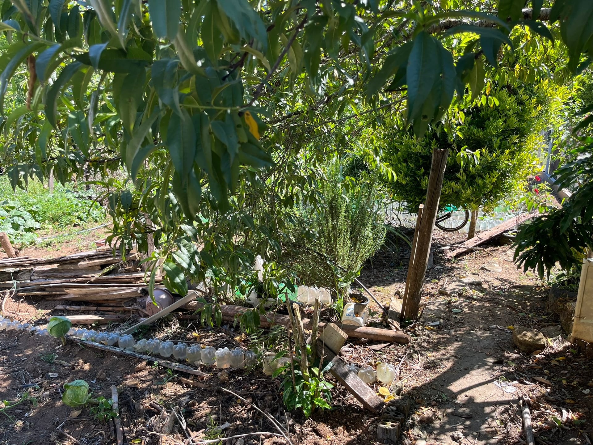 Chácara, 3 quartos, 1450 m² - Foto 24