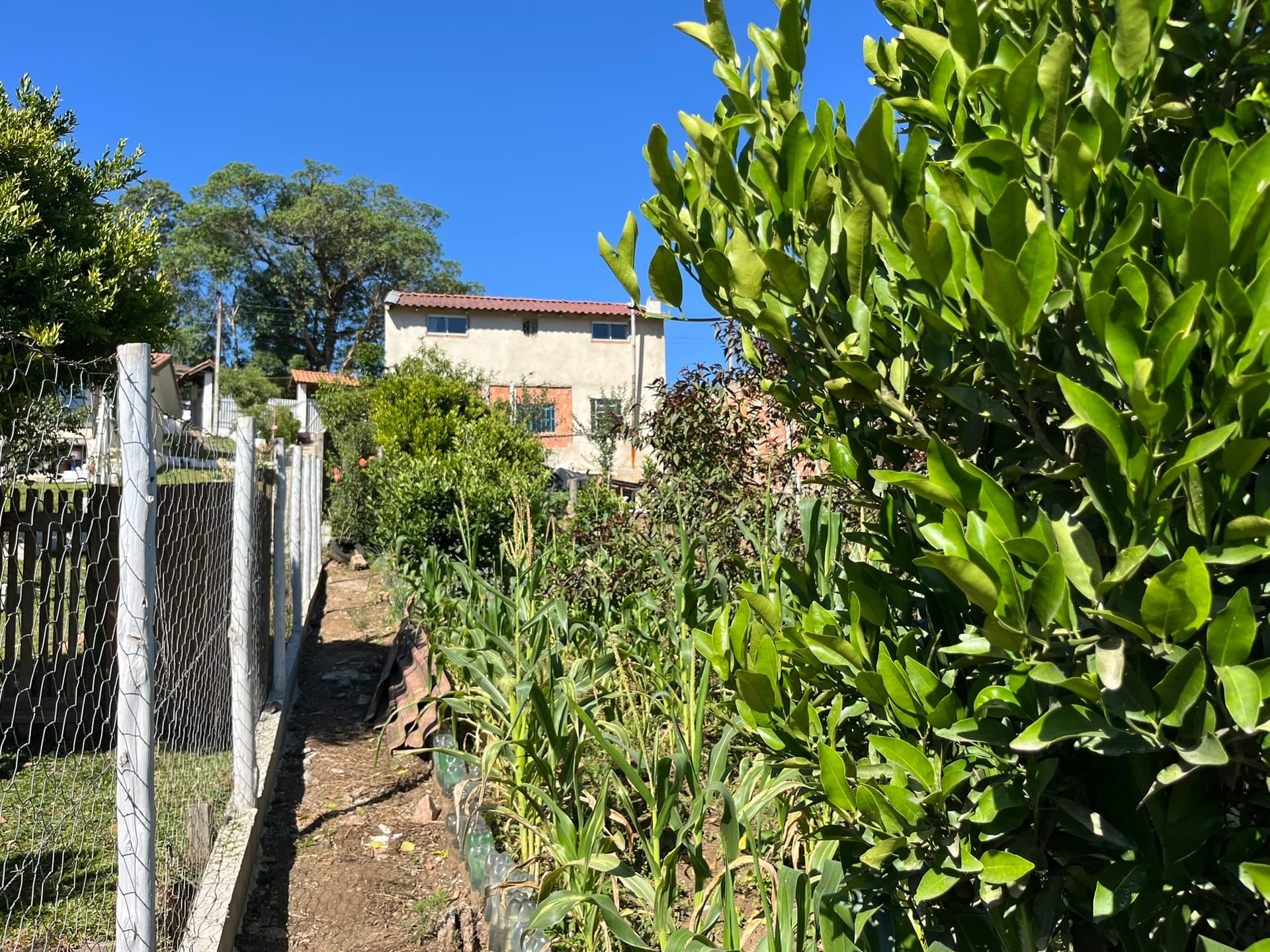 Chácara, 3 quartos, 1450 m² - Foto 29