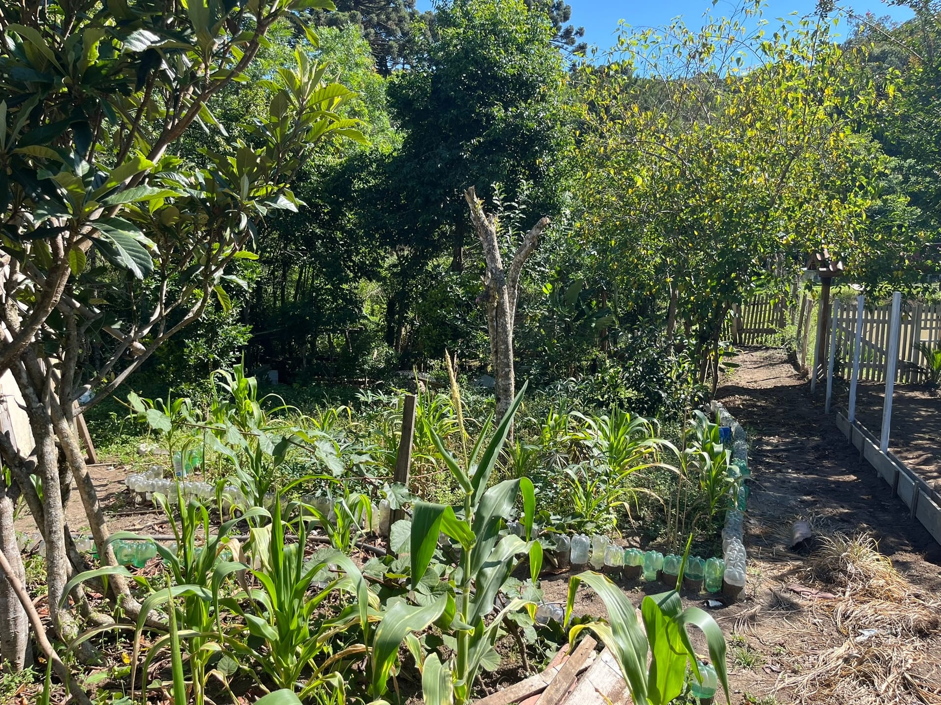 Chácara, 3 quartos, 1450 m² - Foto 31