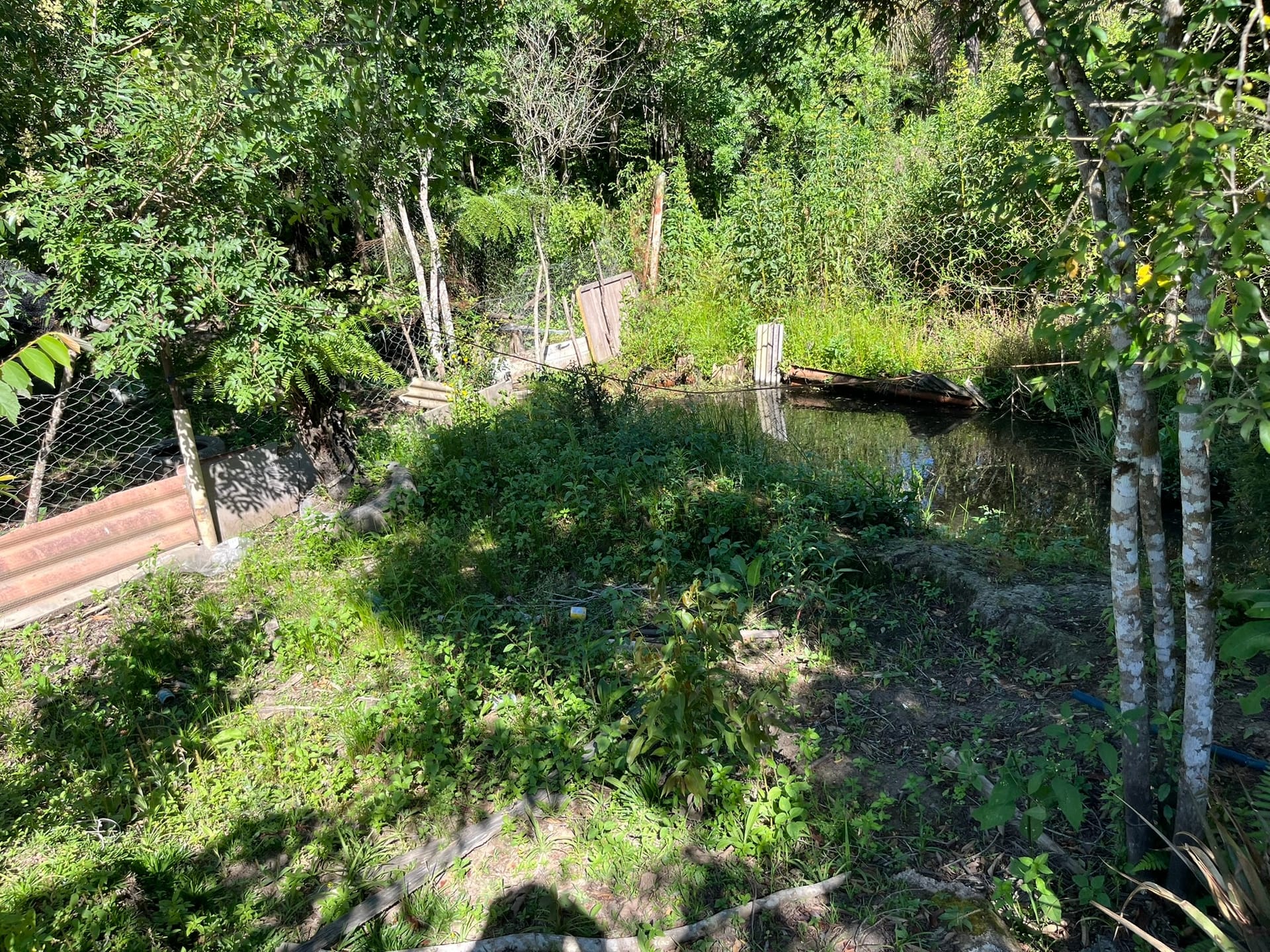 Chácara, 3 quartos, 1450 m² - Foto 23