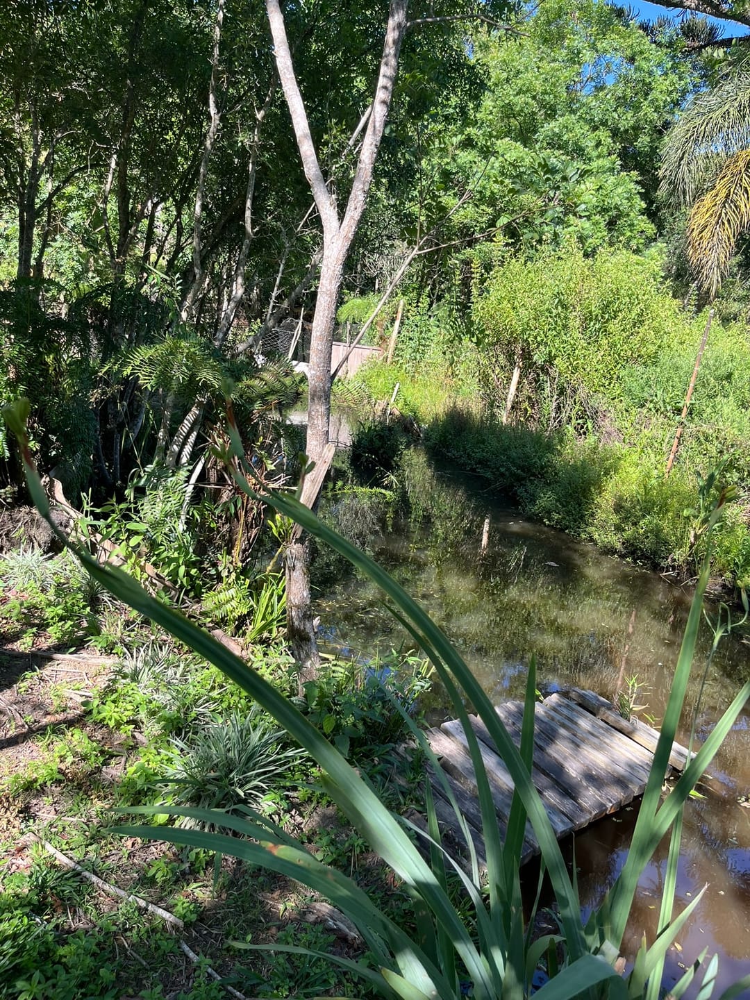 Chácara, 3 quartos, 1450 m² - Foto 32