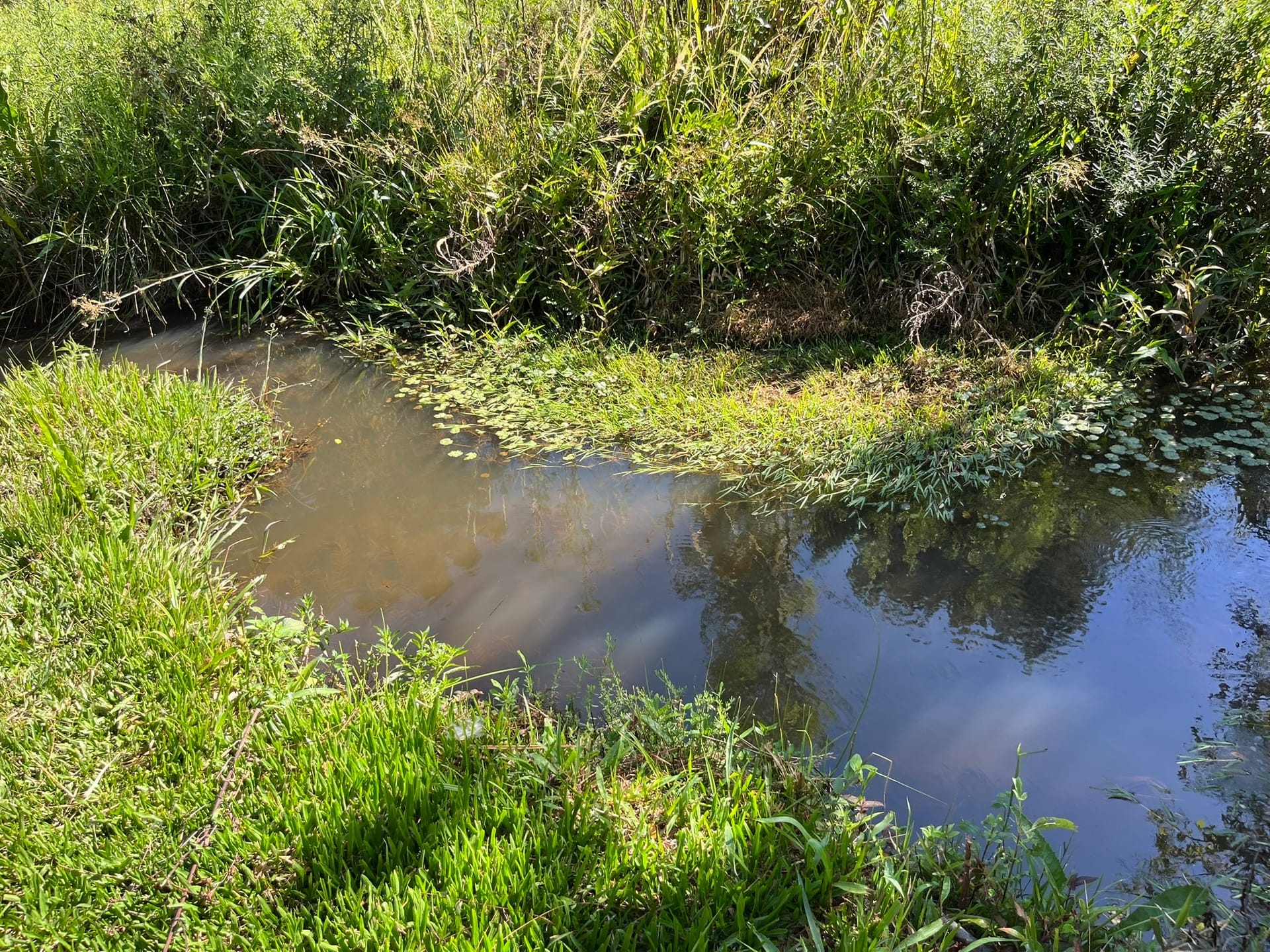 Chácara, 3 quartos, 1450 m² - Foto 33