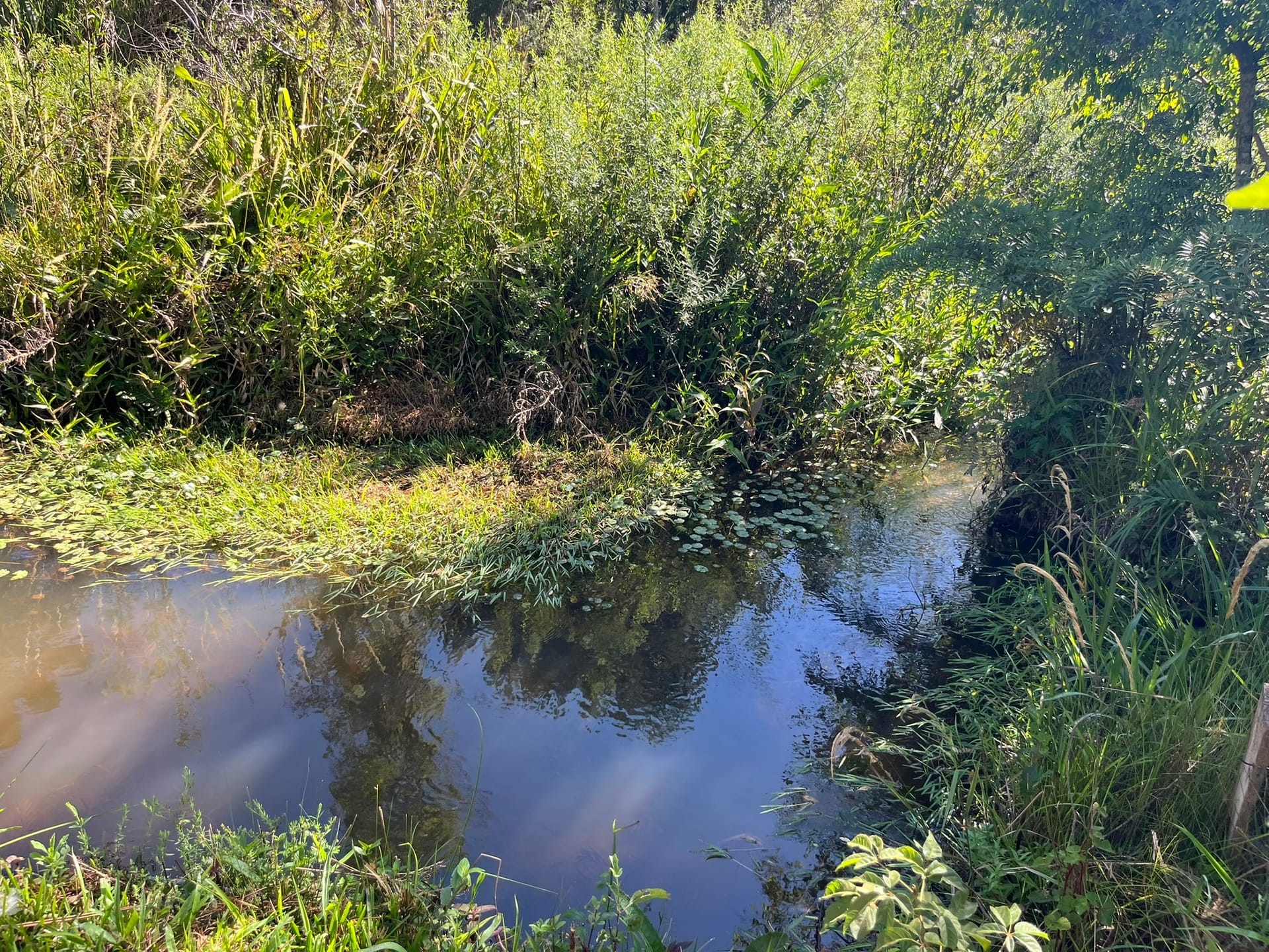 Chácara, 3 quartos, 1450 m² - Foto 2