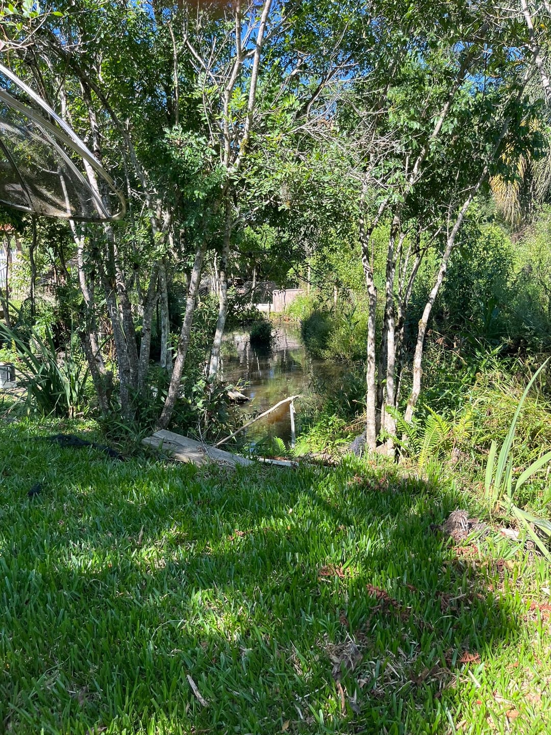 Chácara, 3 quartos, 1450 m² - Foto 27