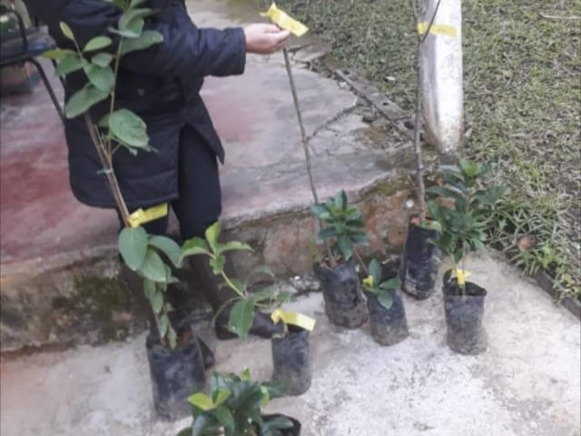 Chácara com 20000m² 2 quartos e 2 banheiros, à venda, no bairro Ribeirão Grande em Pindamonhangaba