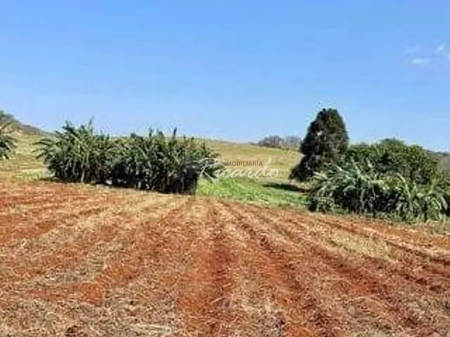 Chácara com 1000m², à venda, no bairro Área Rural de Arapongas em Arapongas