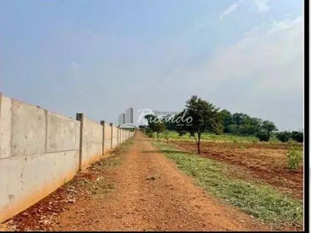 Chácara com 1000m², à venda, no bairro Área Rural de Arapongas em Arapongas