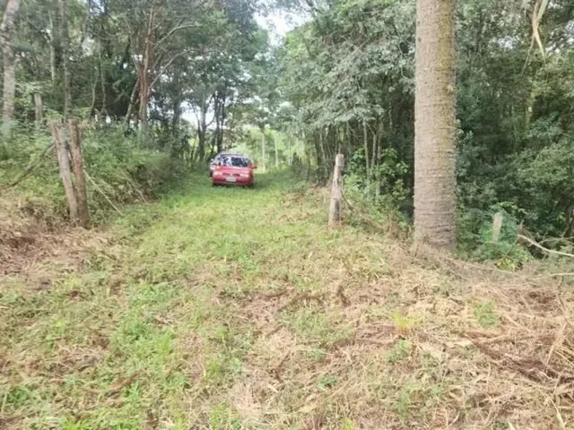 Sítio à venda, no bairro Campo Largo em Campo Largo