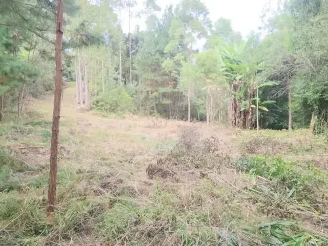 Chácara à venda, no bairro Itaqui de Cima em Campo Largo