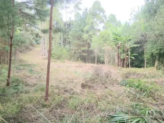Sítio à venda, no bairro Campo Largo em Campo Largo