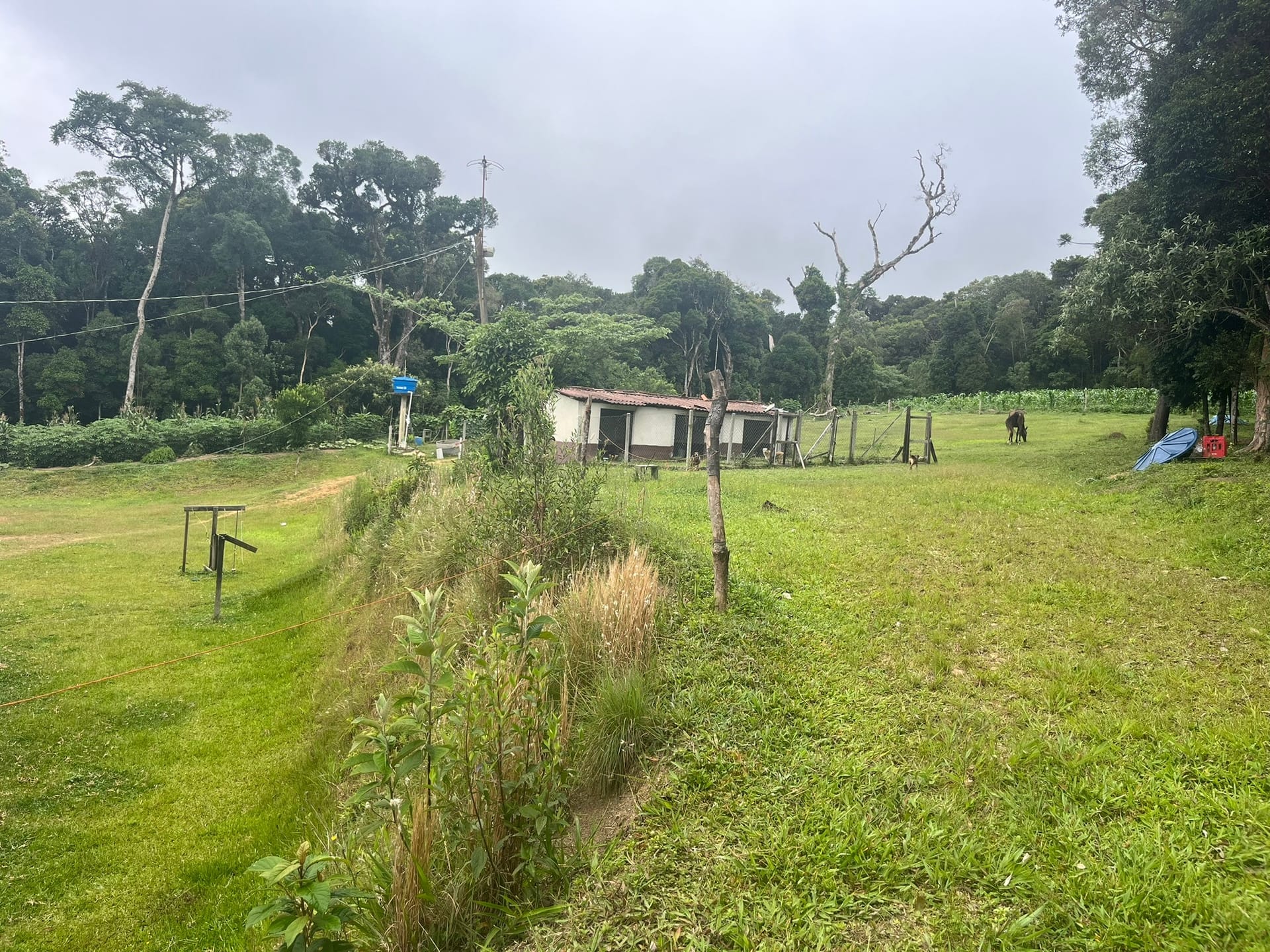 Sítio, 3 quartos, 2 hectares - Foto 9