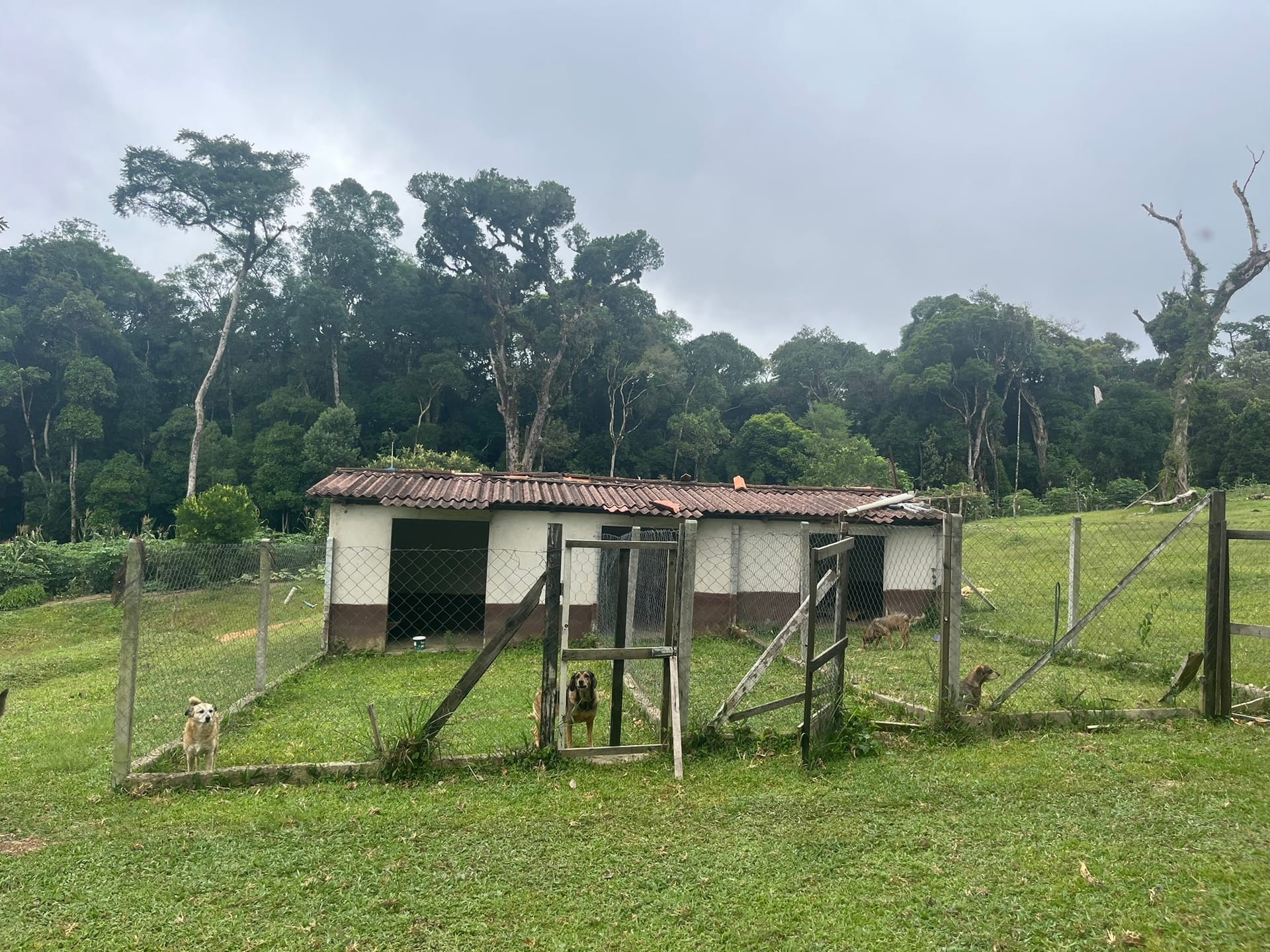 Sítio, 3 quartos, 2 hectares - Foto 12