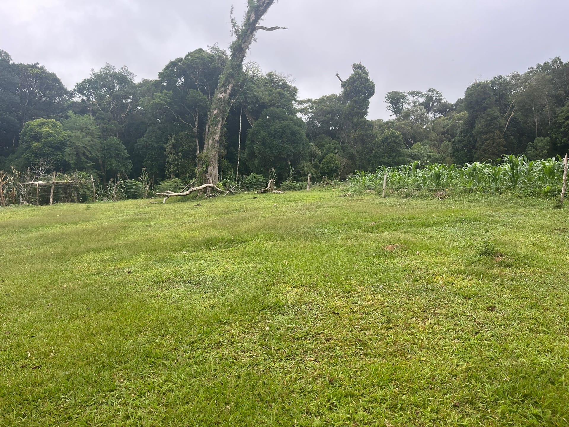 Sítio, 3 quartos, 2 hectares - Foto 16