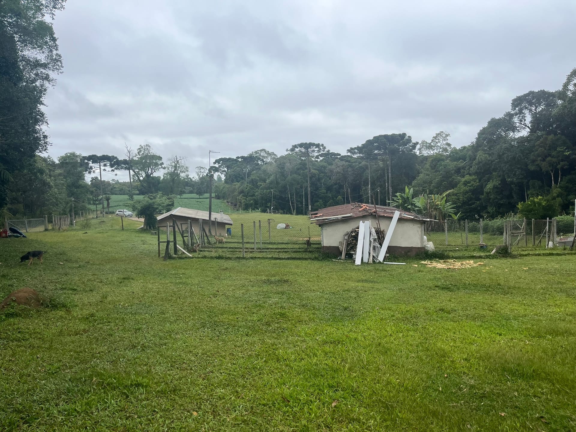 Sítio, 3 quartos, 2 hectares - Foto 17