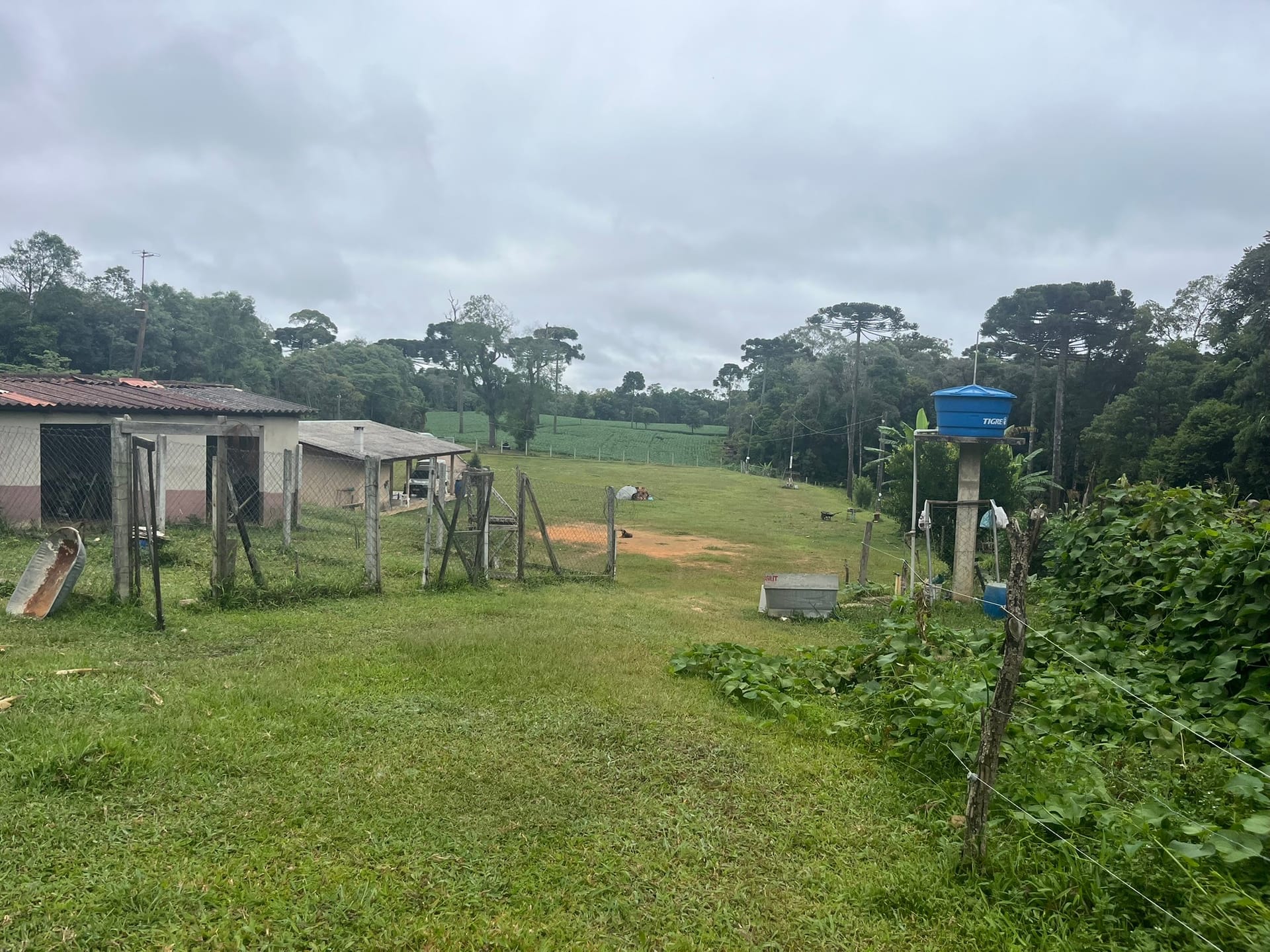 Sítio, 3 quartos, 2 hectares - Foto 27