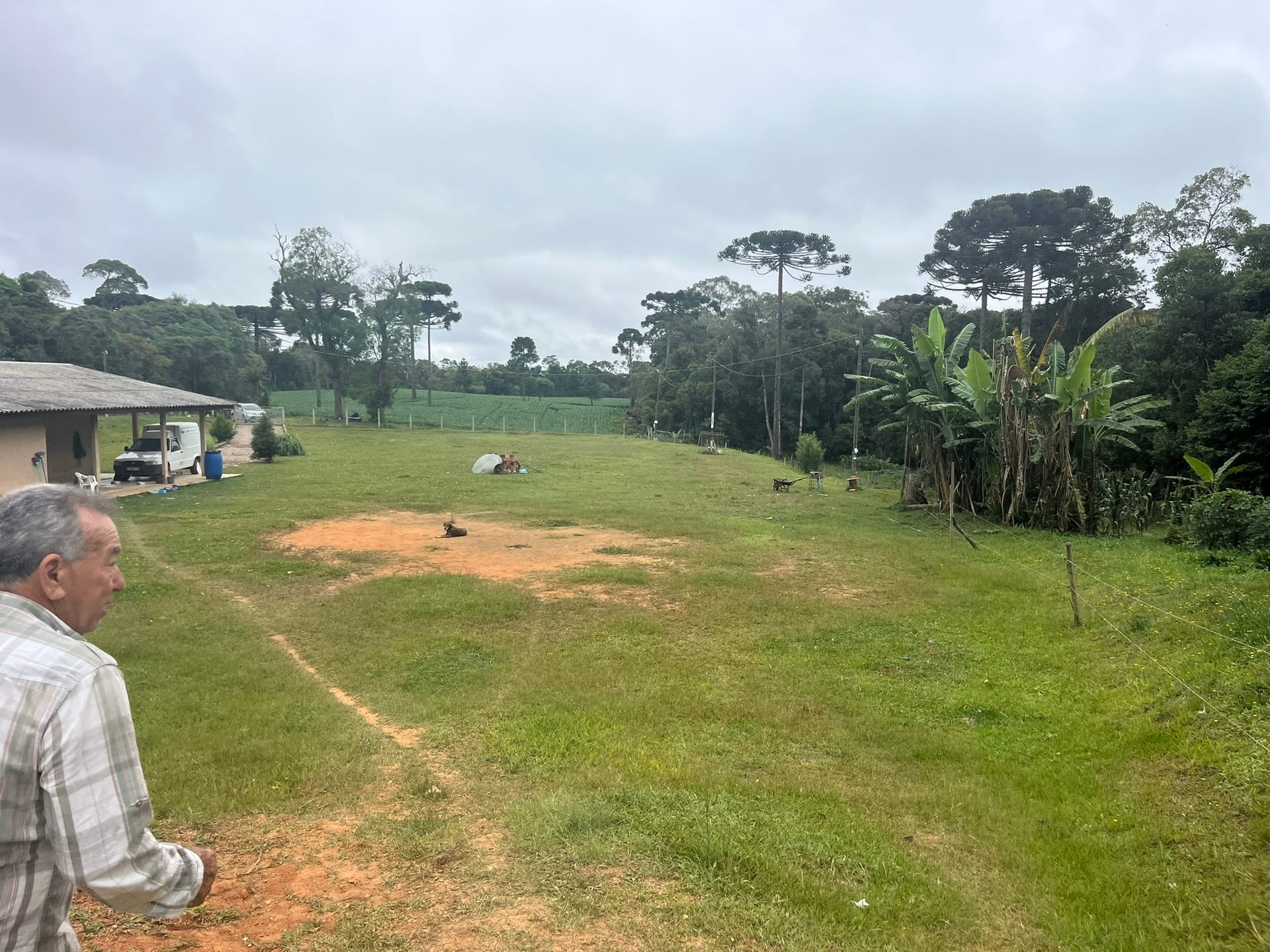 Sítio, 3 quartos, 2 hectares - Foto 28