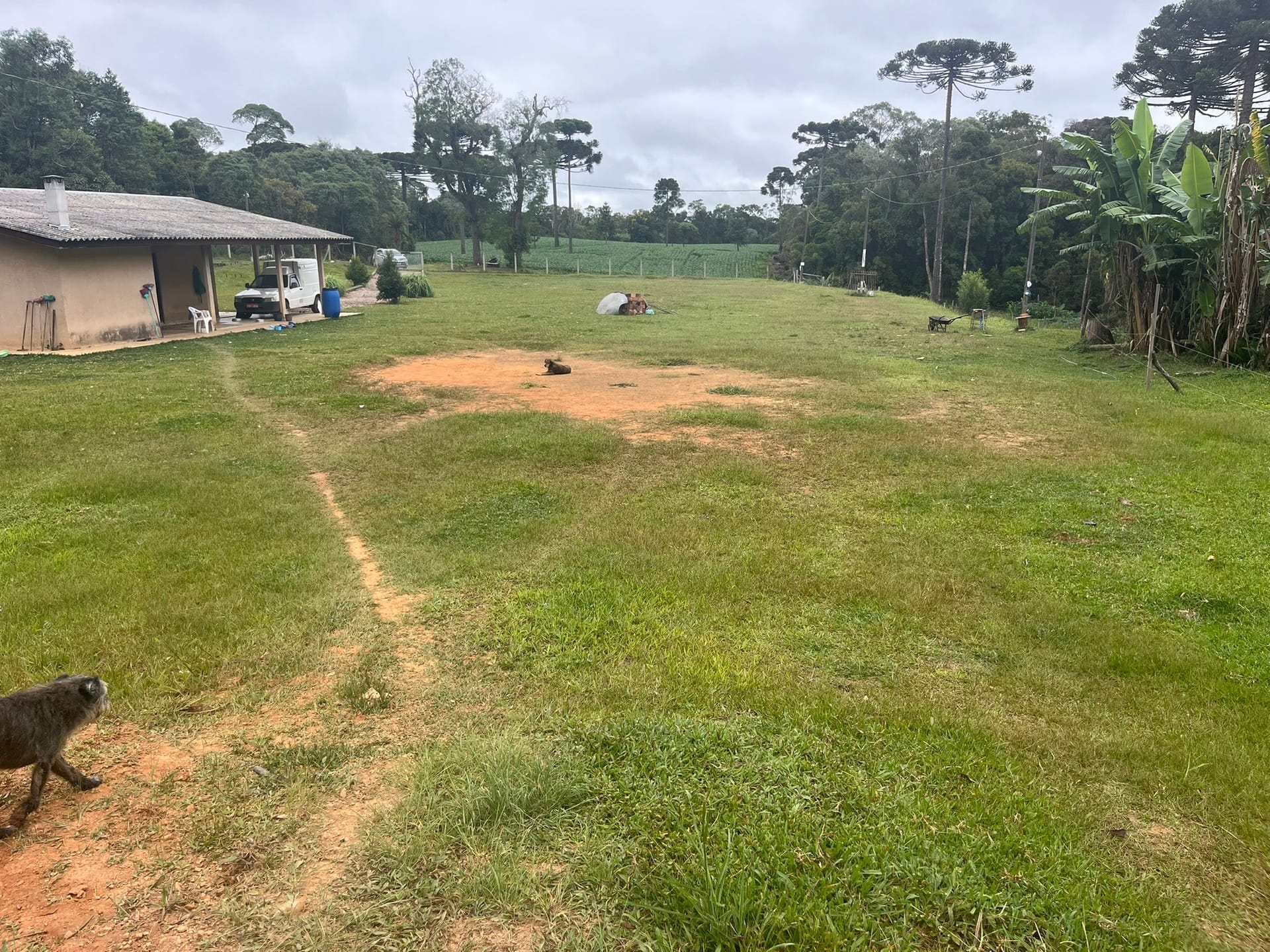 Sítio, 3 quartos, 2 hectares - Foto 22