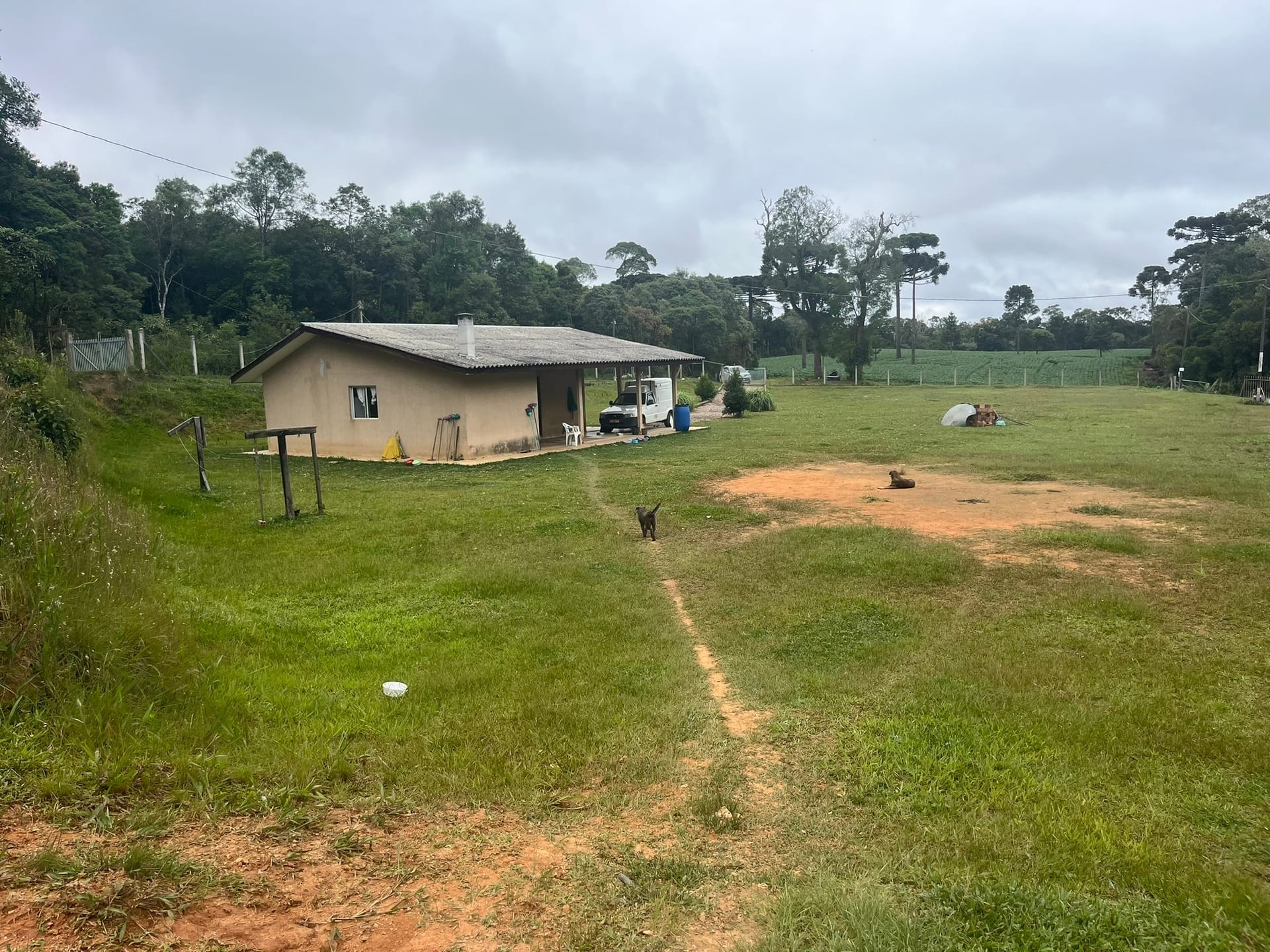 Sítio, 3 quartos, 2 hectares - Foto 29