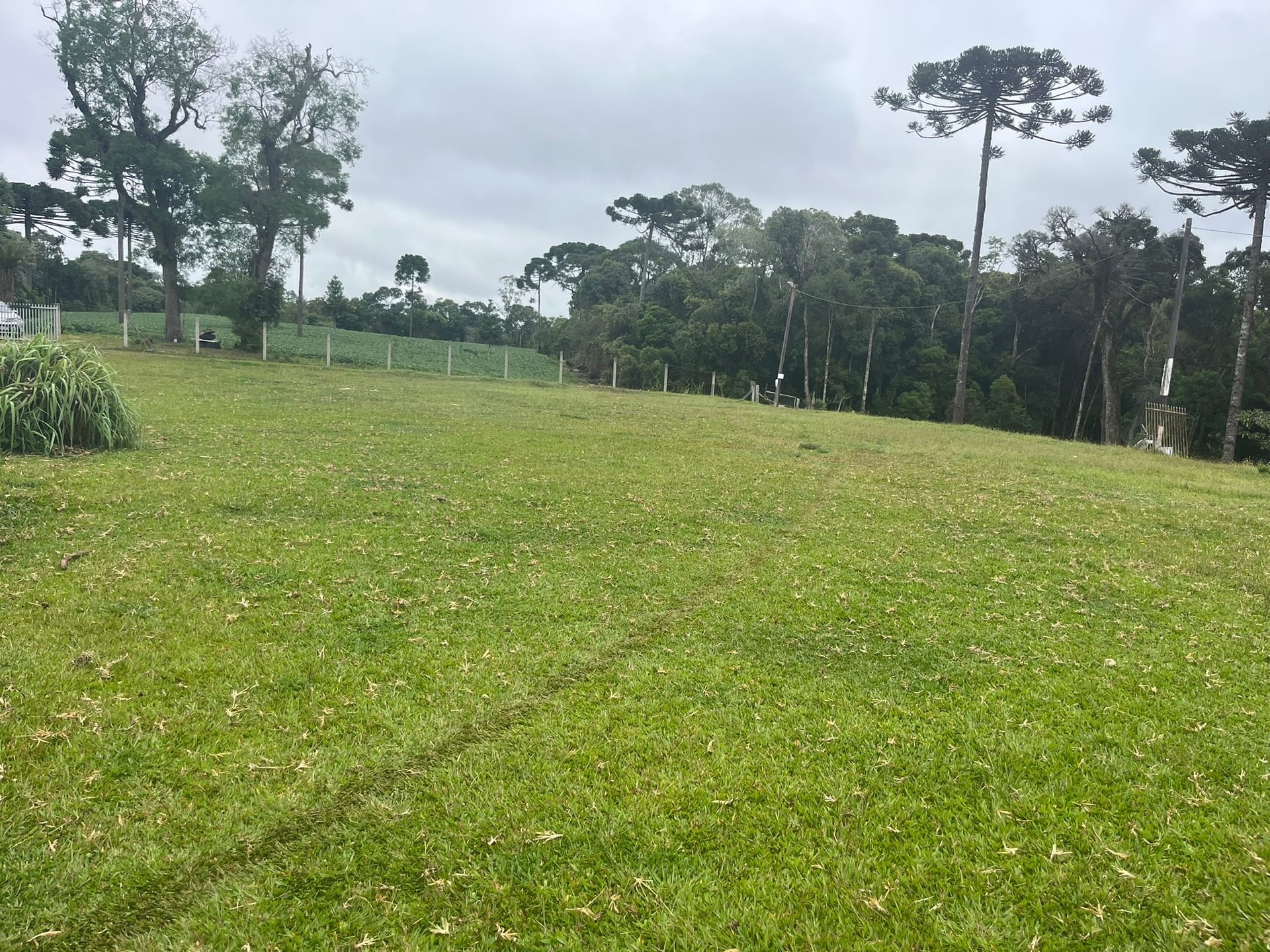 Sítio, 3 quartos, 2 hectares - Foto 7