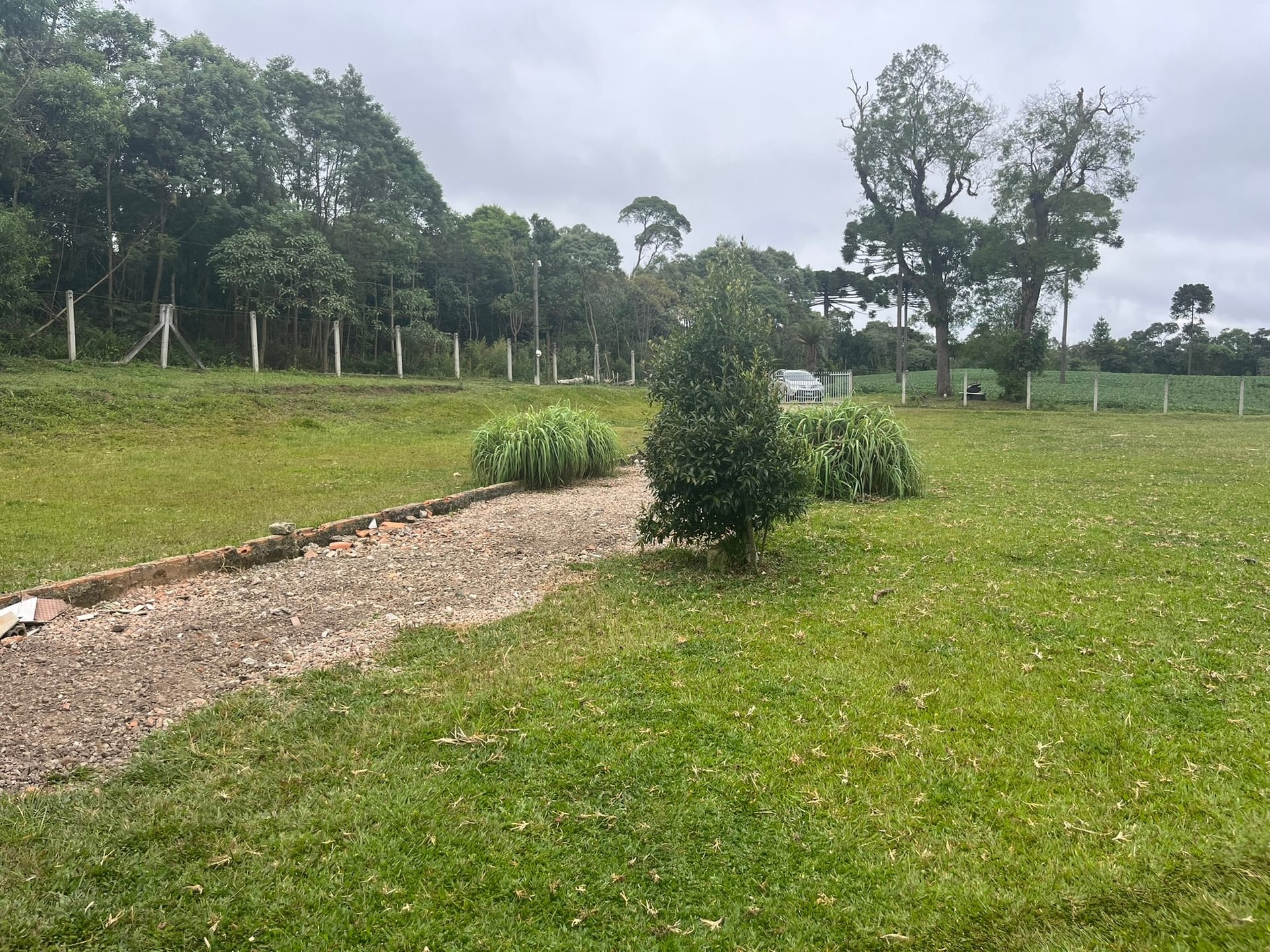 Sítio, 3 quartos, 2 hectares - Foto 31