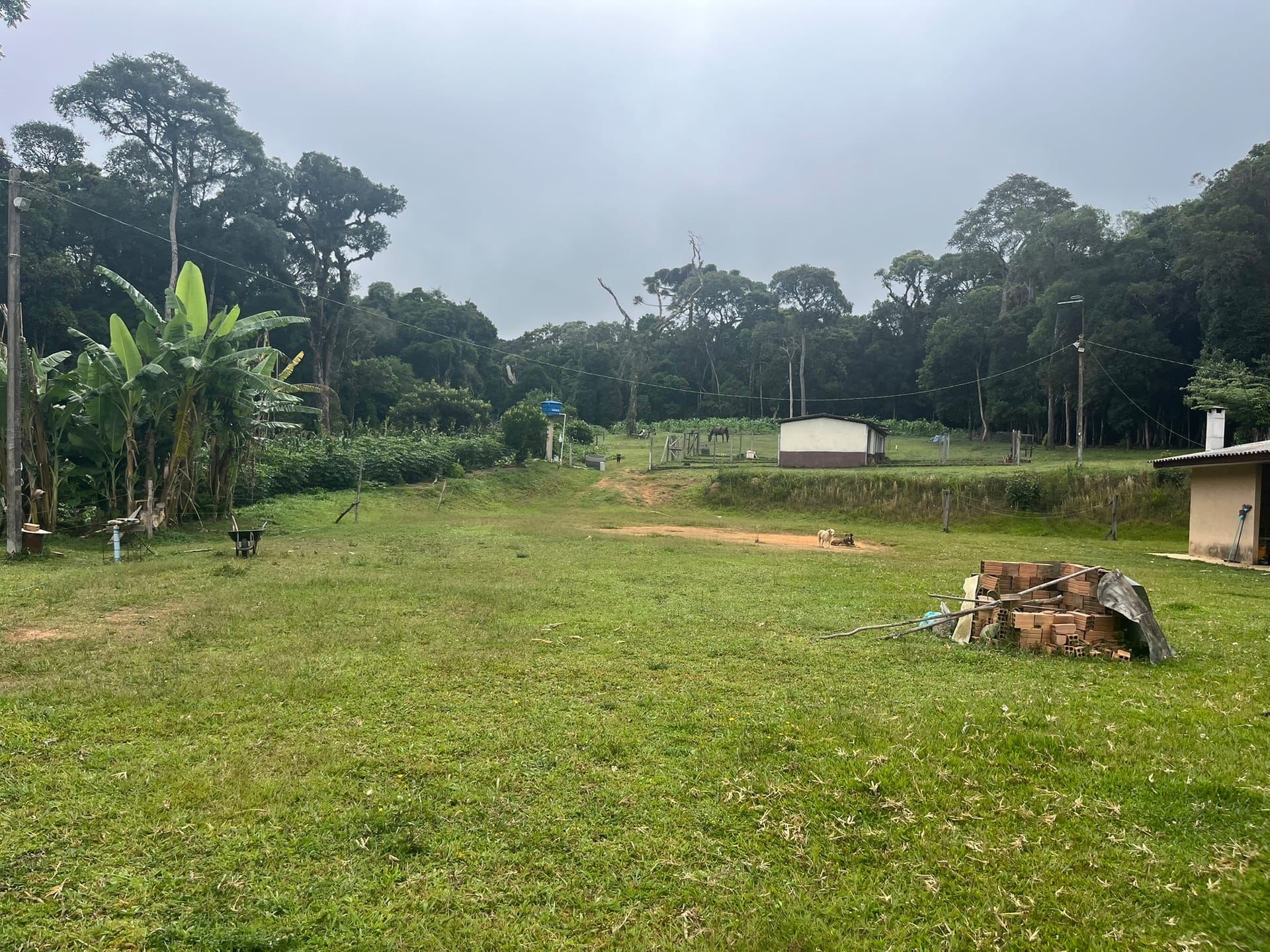 Sítio, 3 quartos, 2 hectares - Foto 32