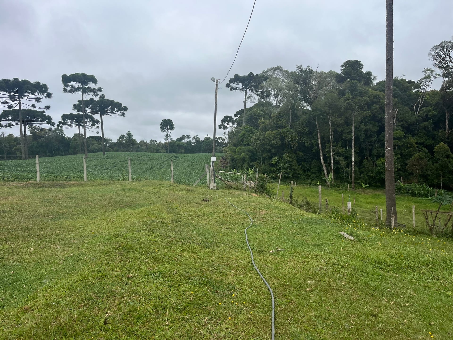 Sítio, 3 quartos, 2 hectares - Foto 34