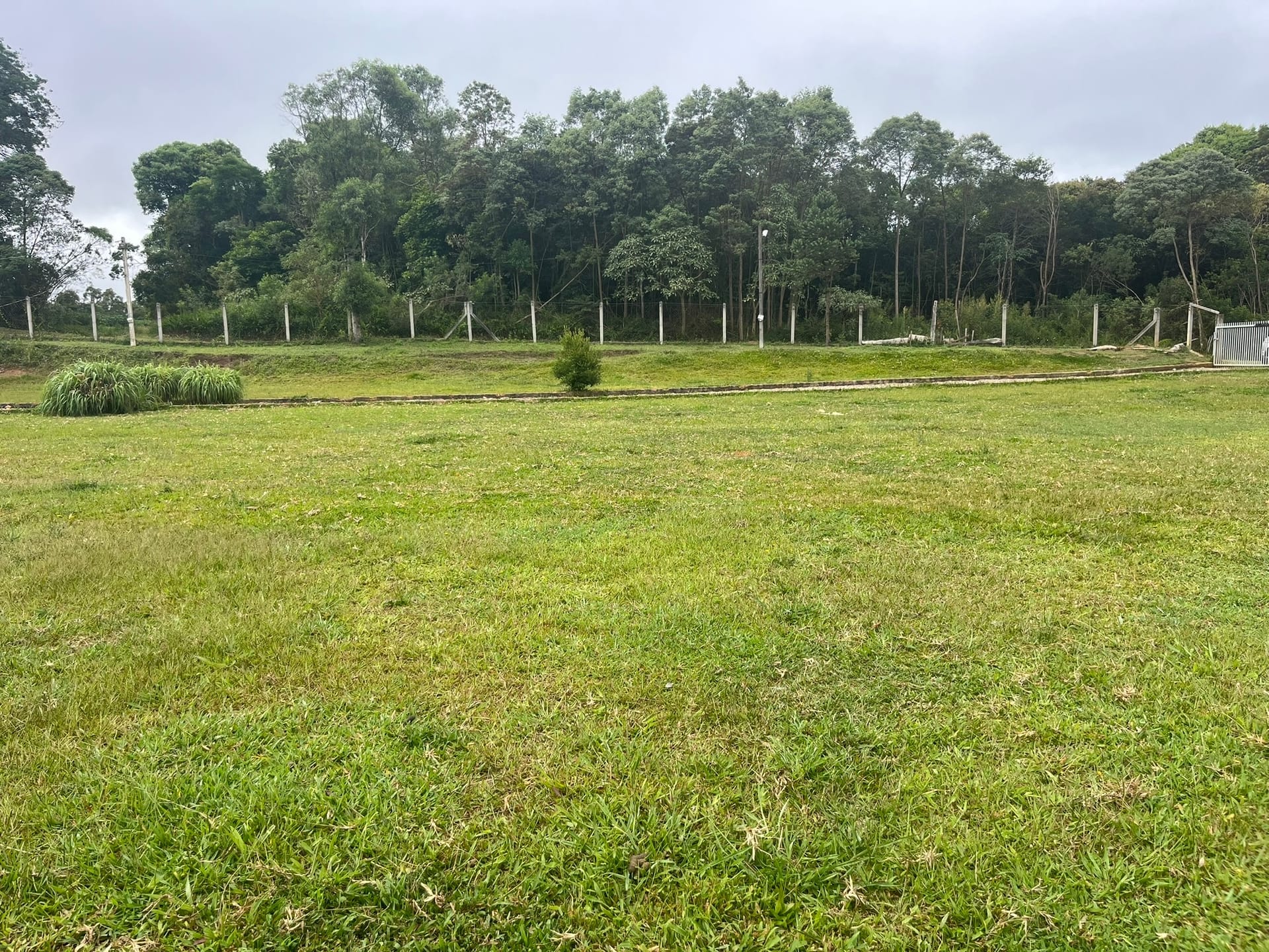 Sítio, 3 quartos, 2 hectares - Foto 35