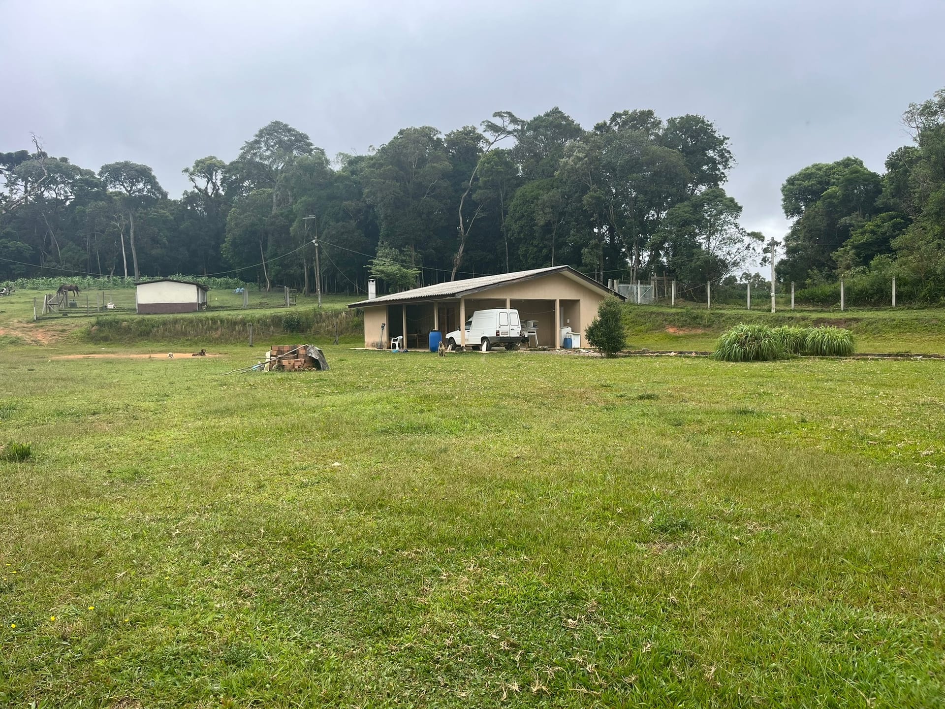 Sítio, 3 quartos, 2 hectares - Foto 36