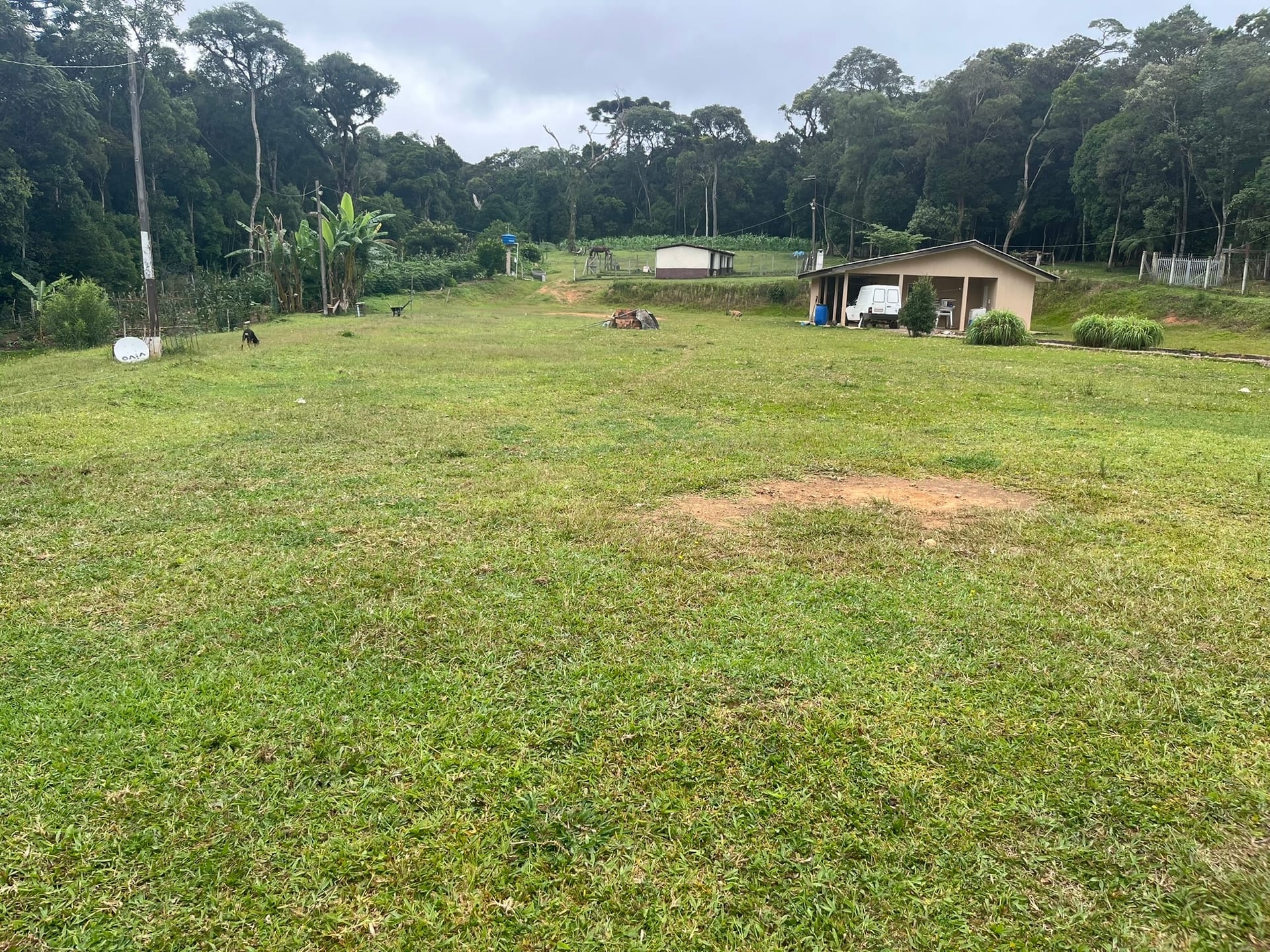 Sítio, 3 quartos, 2 hectares - Foto 38