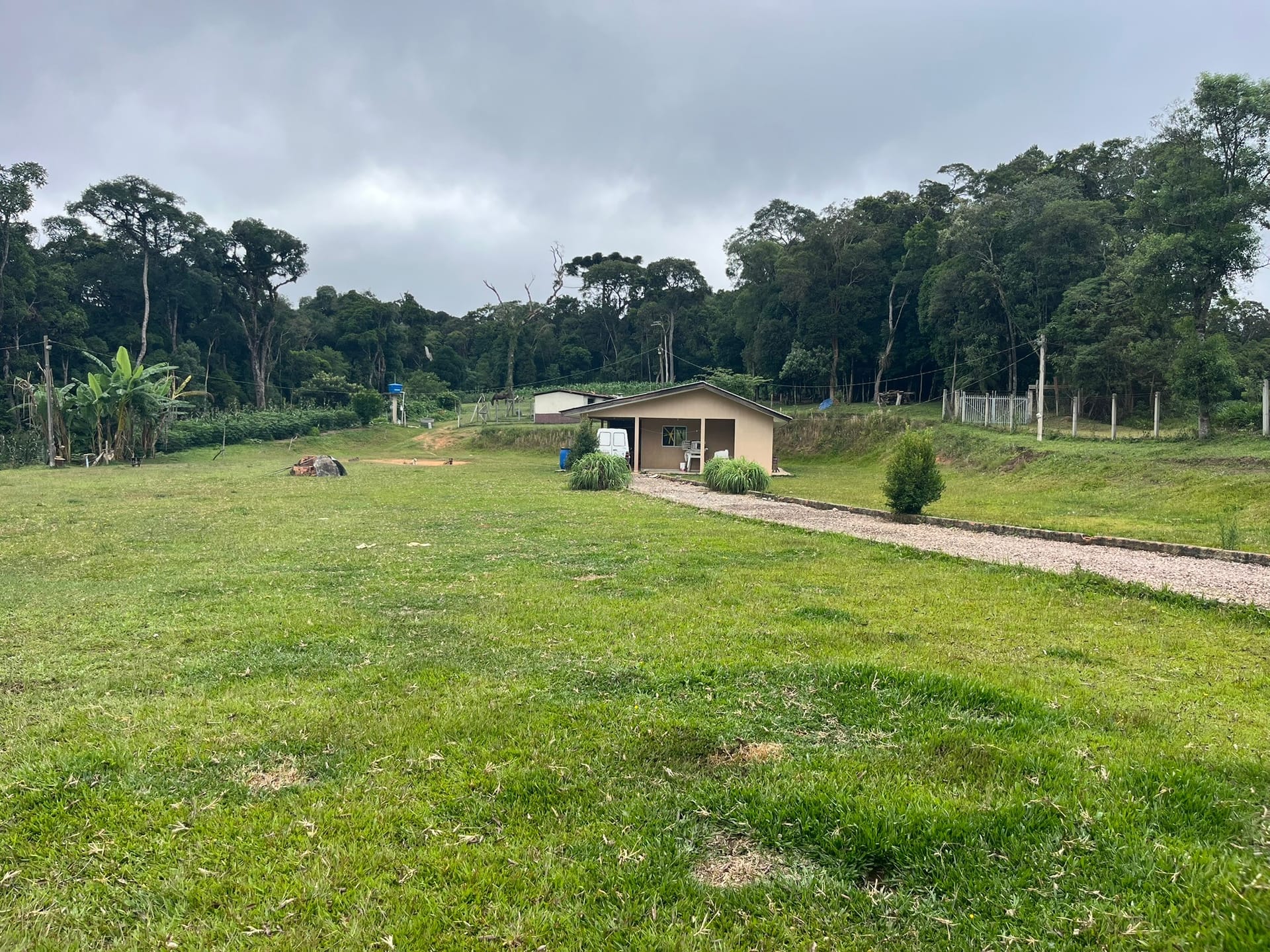 Sítio, 3 quartos, 2 hectares - Foto 39