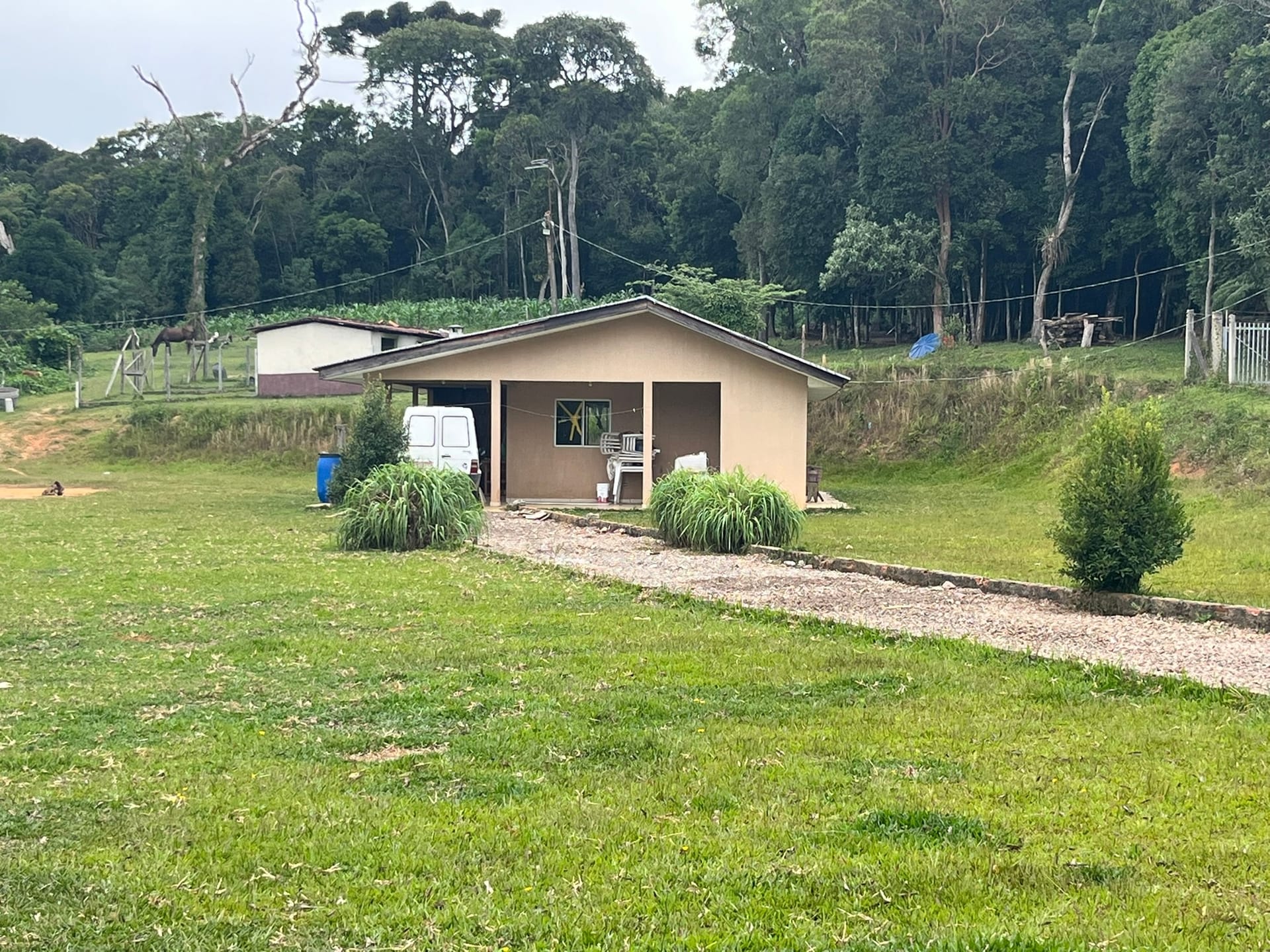 Sítio, 3 quartos, 2 hectares - Foto 3