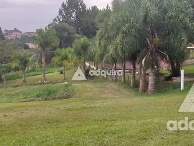 Chácara com 12000m², à venda, no bairro Cará-cará em Ponta Grossa